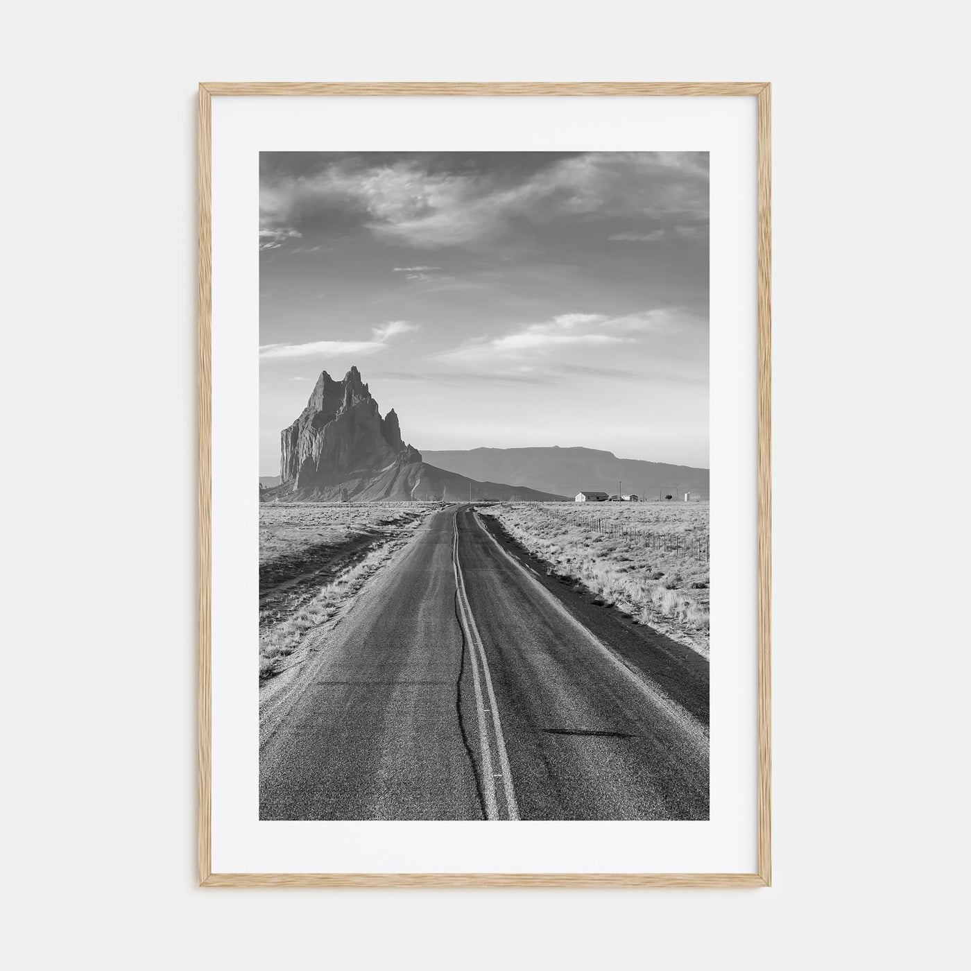 New Mexico Photo B&W Poster