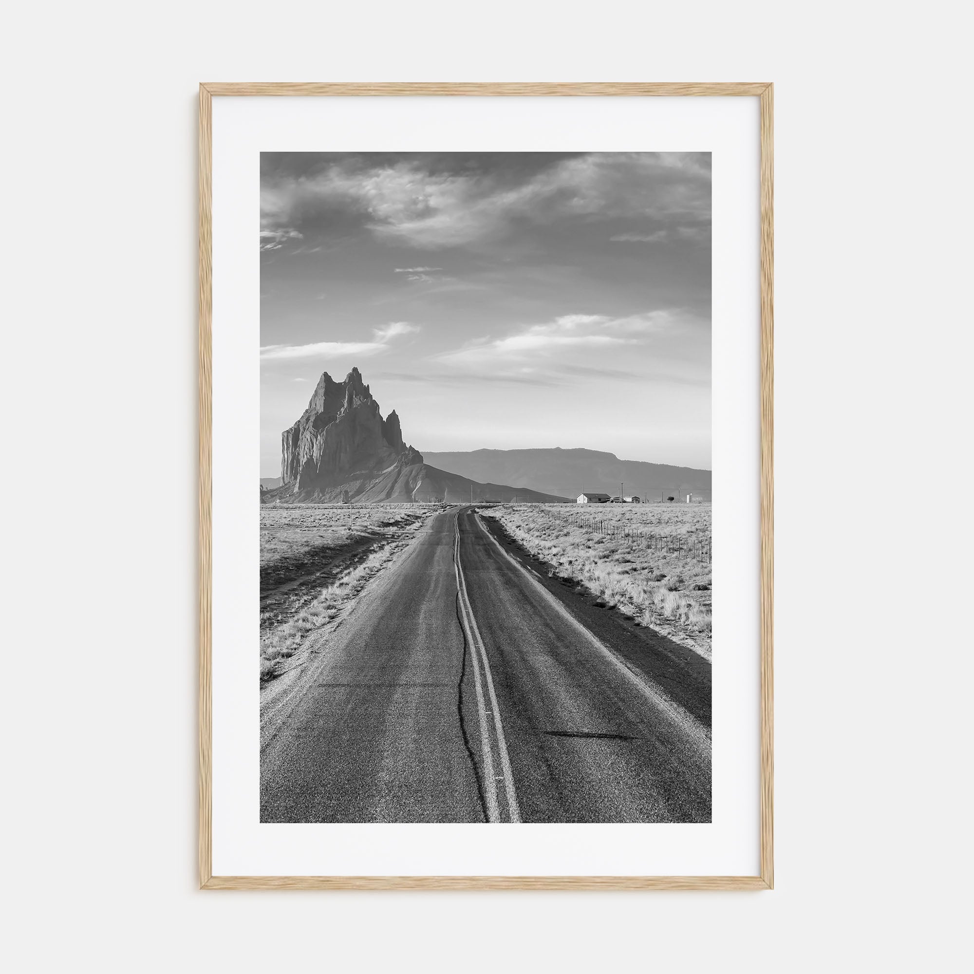 New Mexico Photo B&W Poster