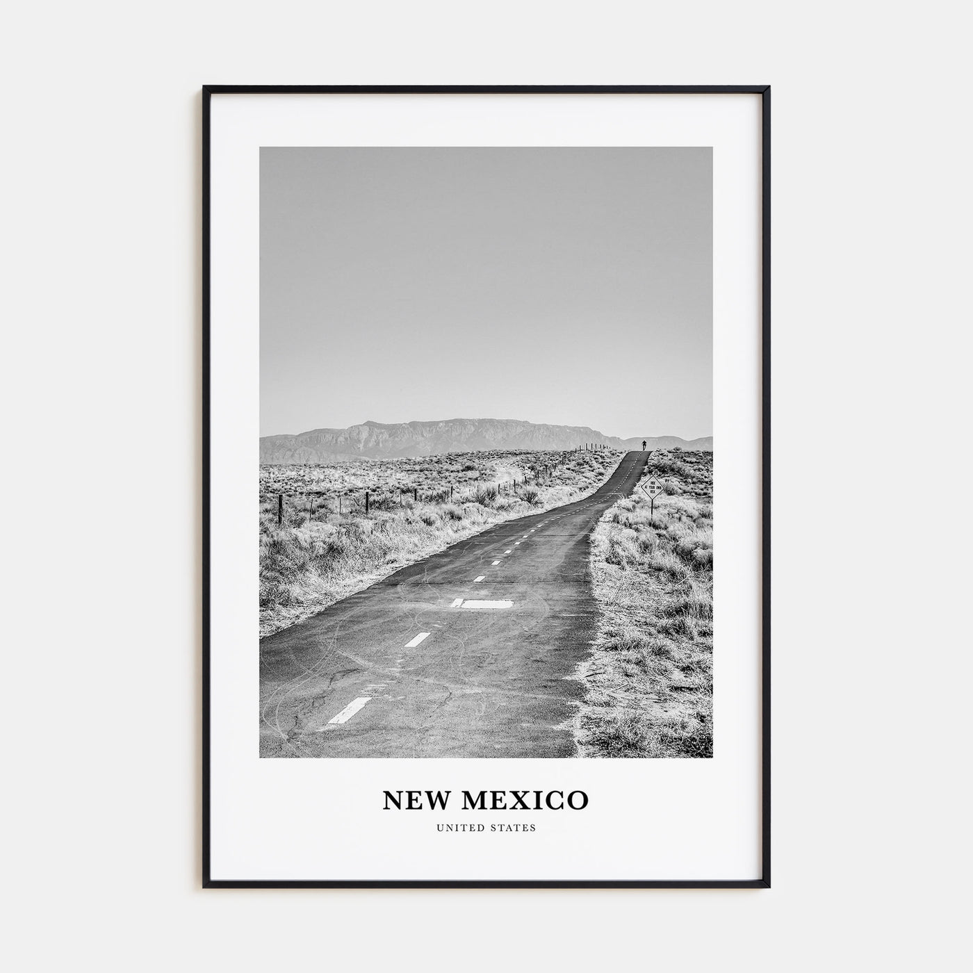 New Mexico Portrait B&W Poster