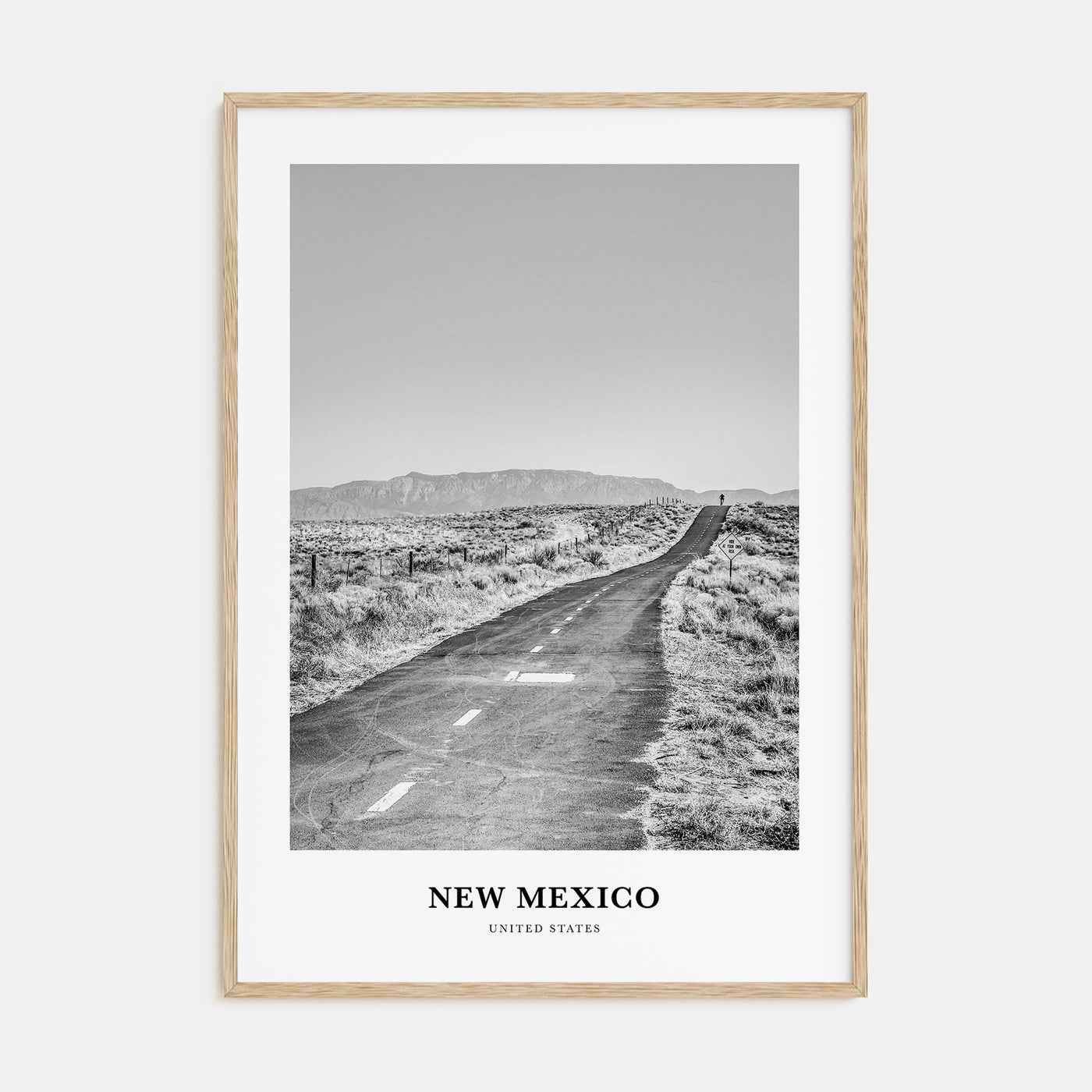 New Mexico Portrait B&W Poster