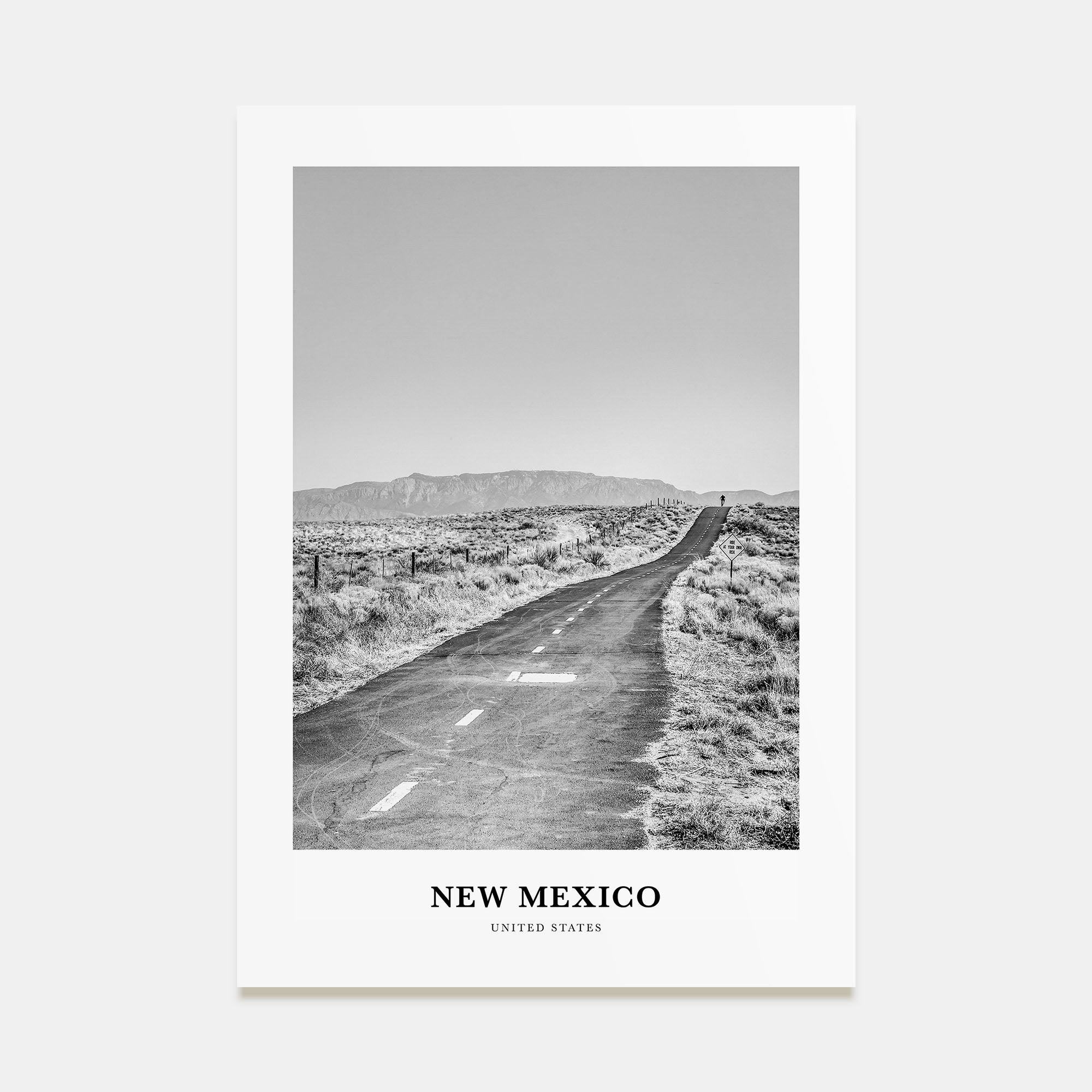 New Mexico Portrait B&W Poster