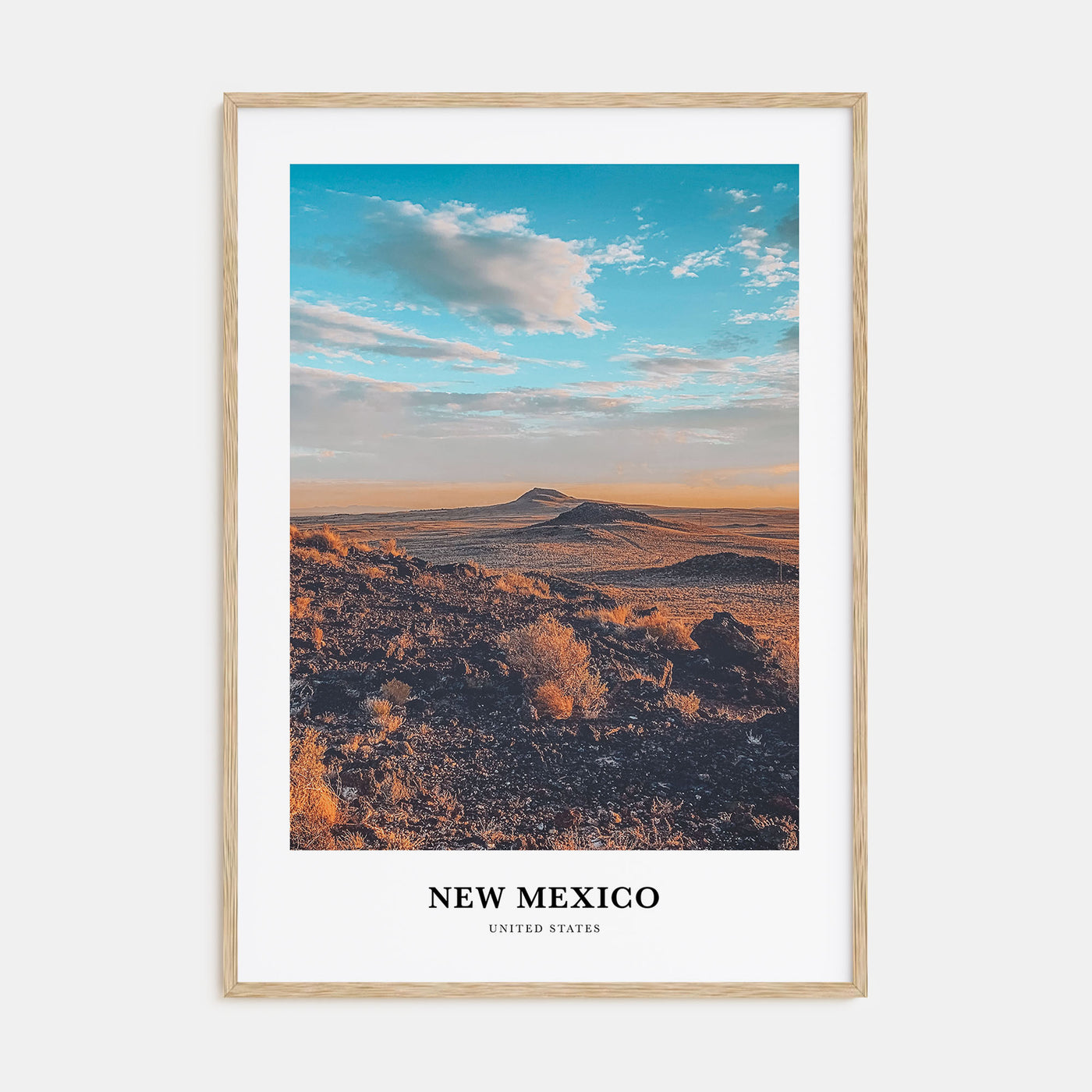 New Mexico Portrait Color Poster