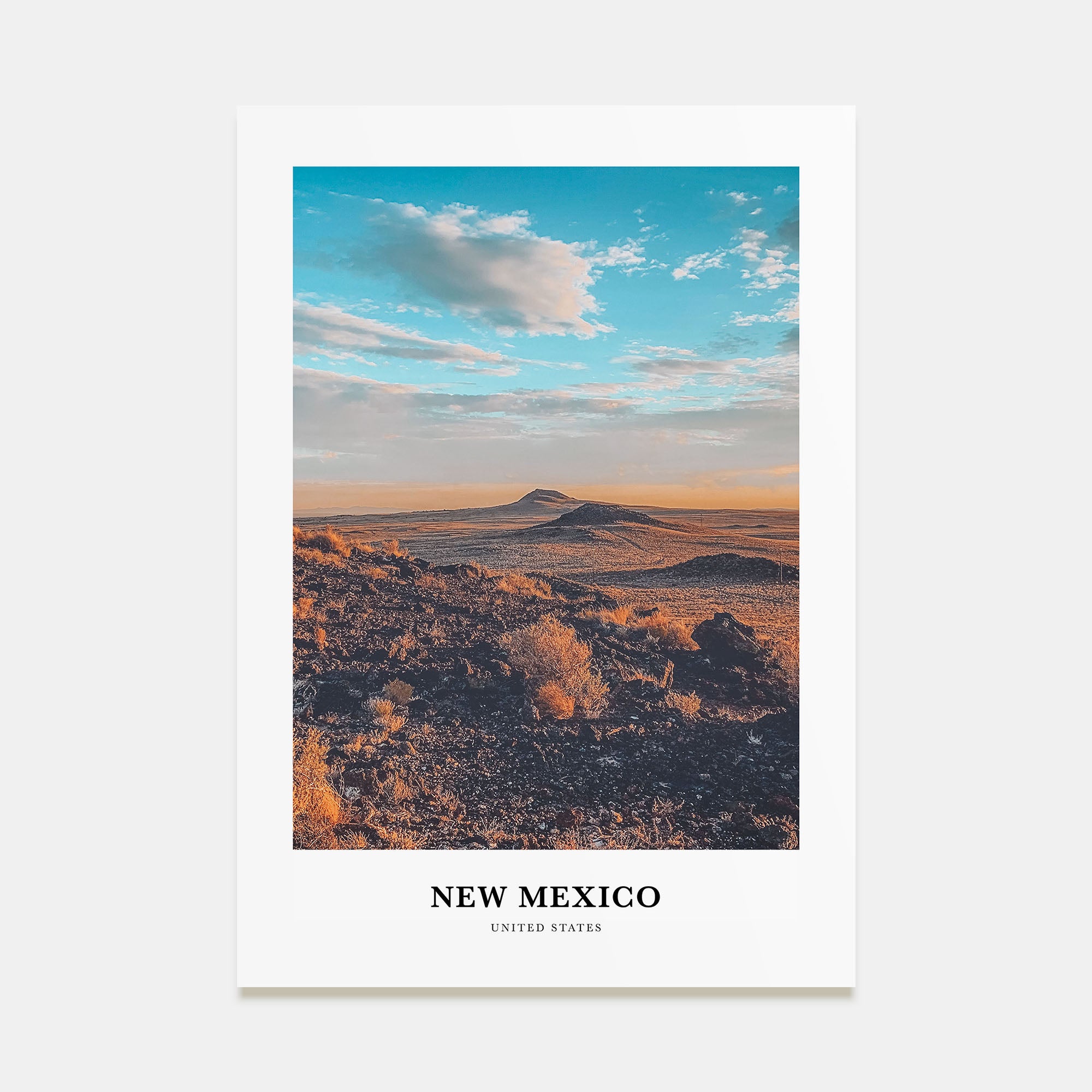 New Mexico Portrait Color Poster
