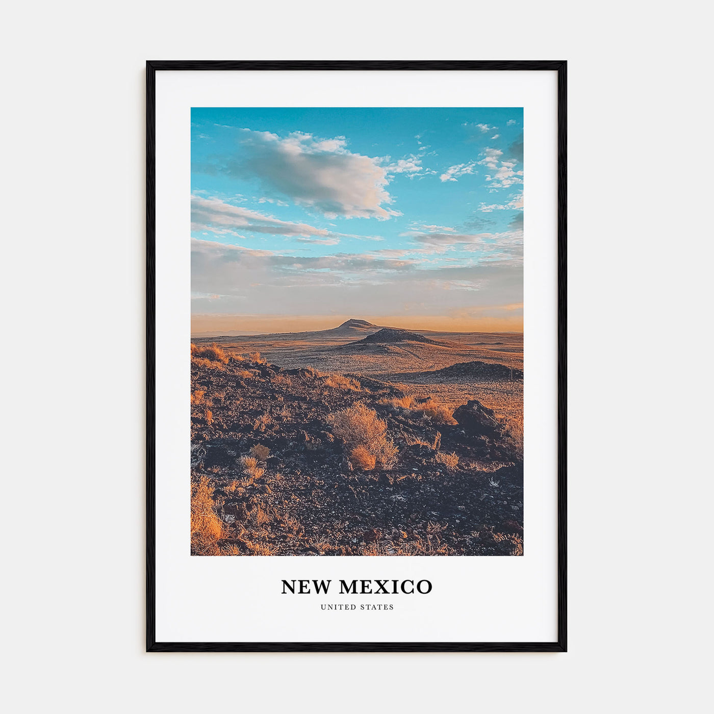 New Mexico Portrait Color Poster