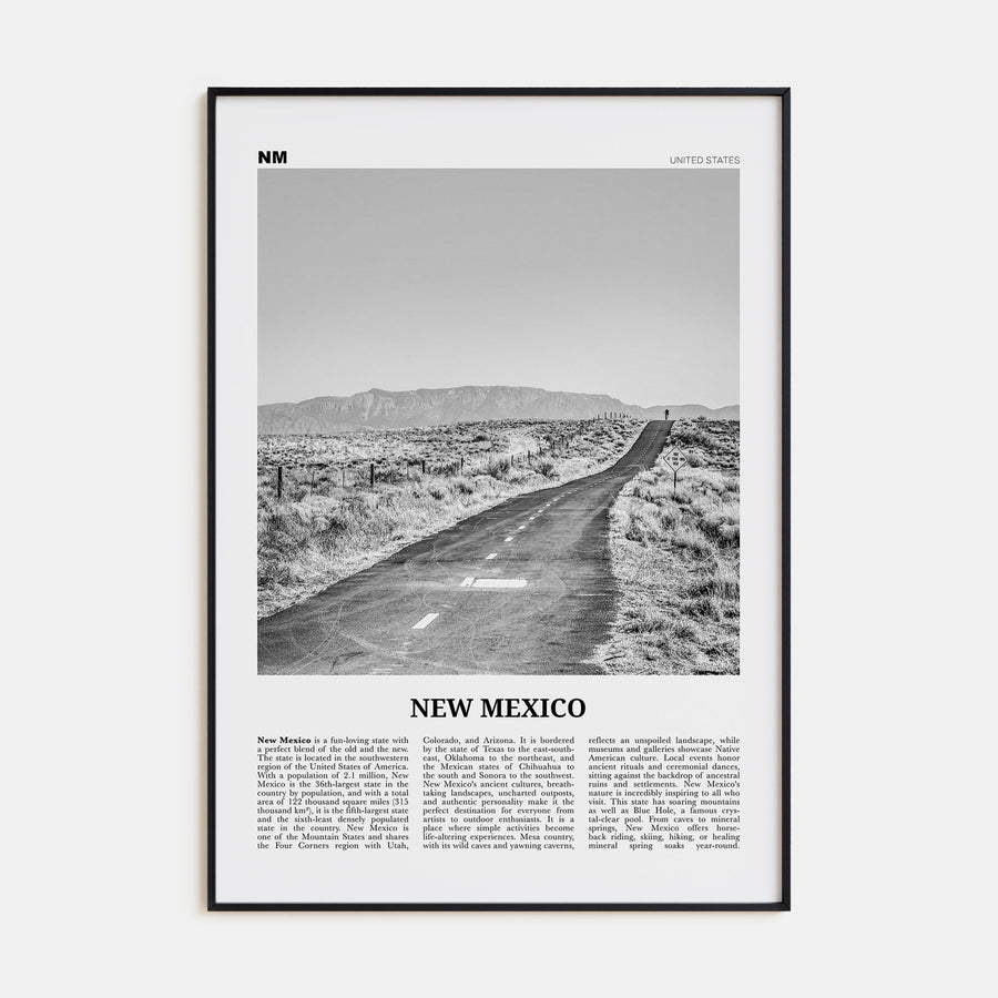 New Mexico Travel B&W No 1 Poster