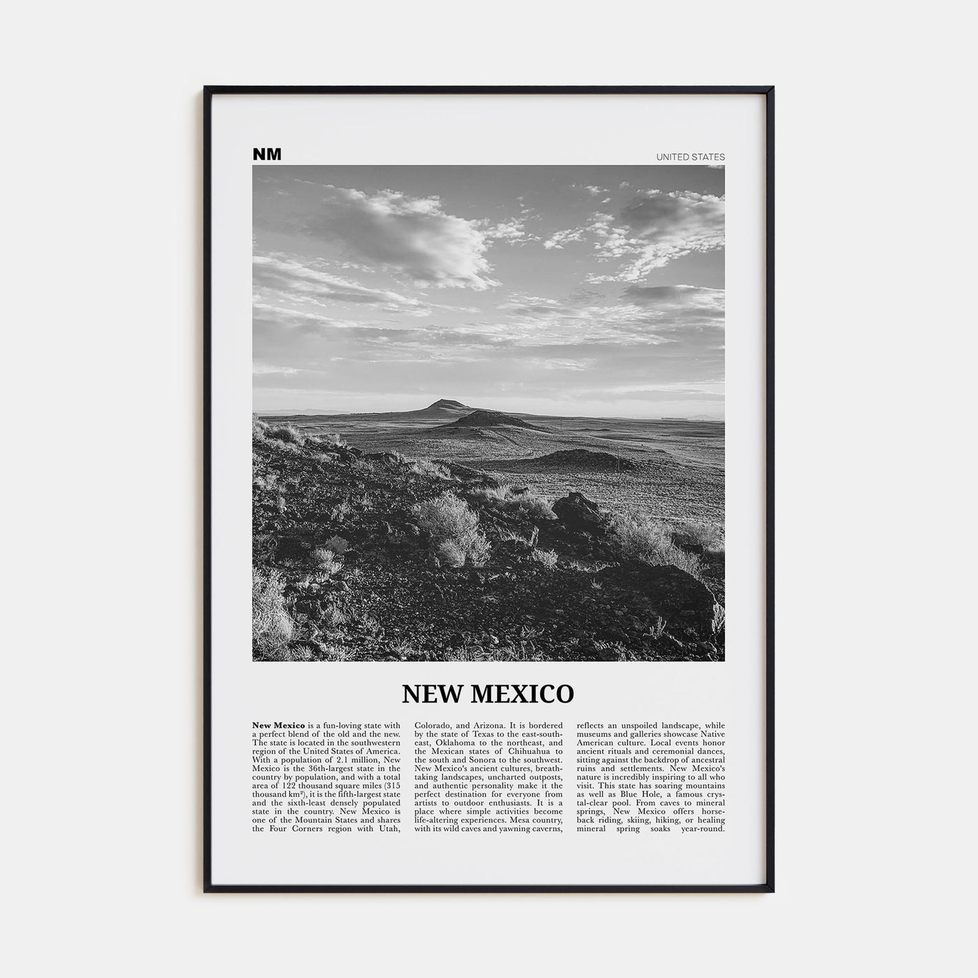 New Mexico Travel B&W No 2 Poster