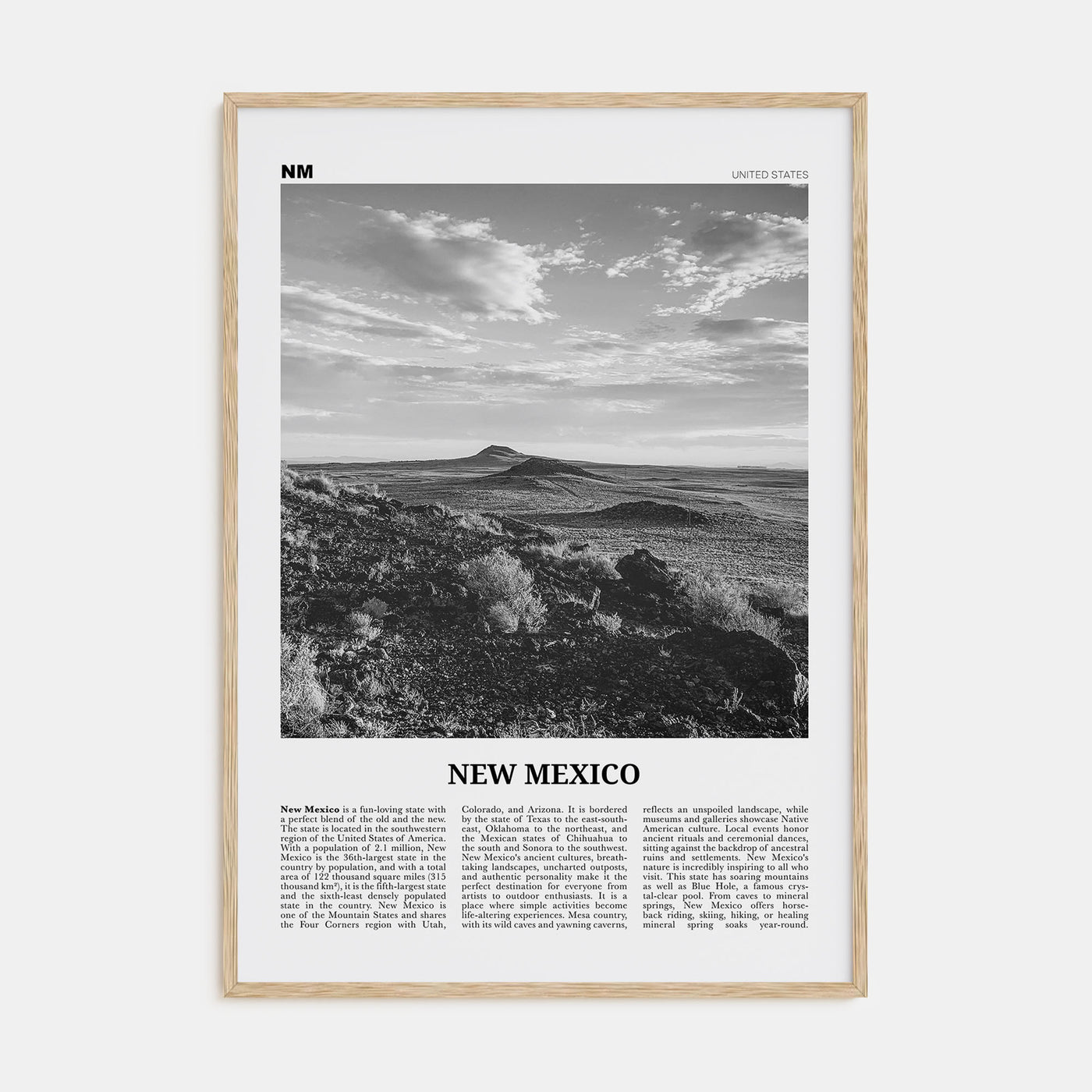 New Mexico Travel B&W No 2 Poster