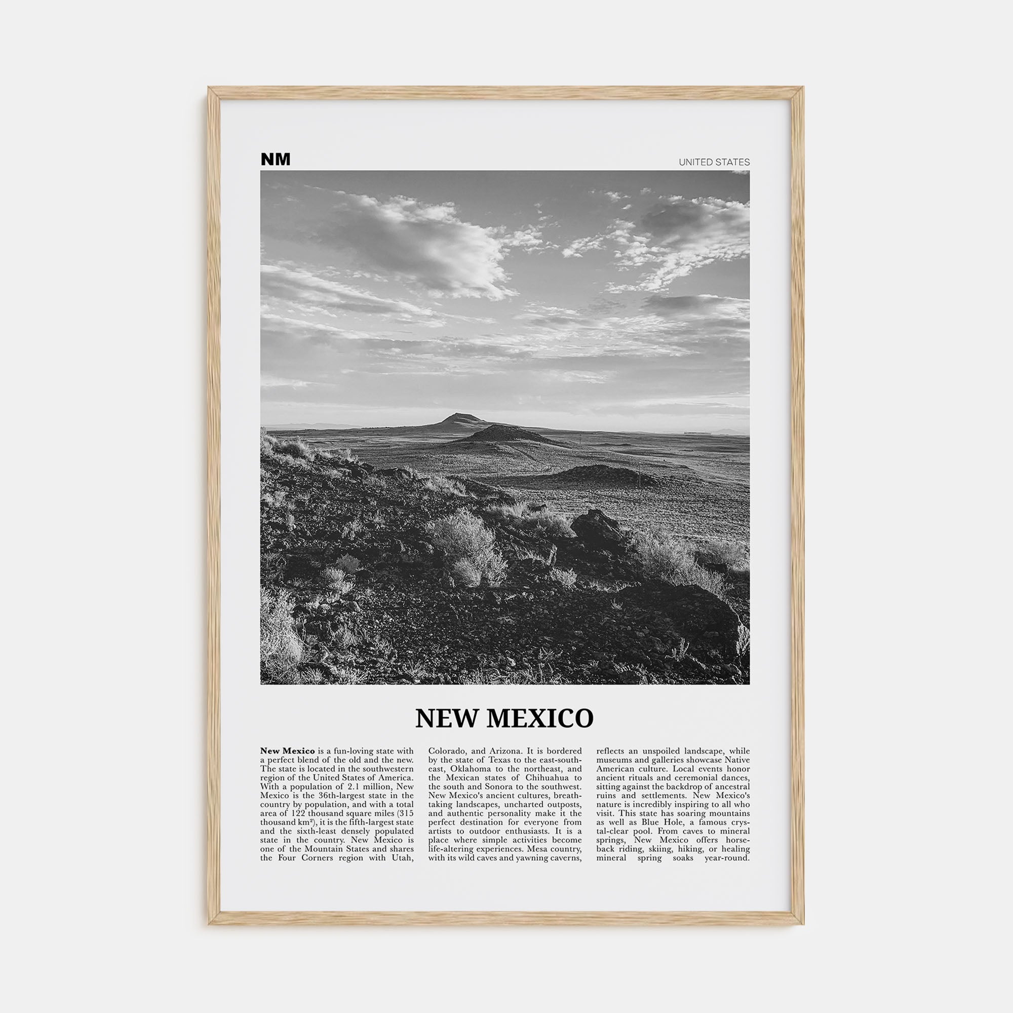 New Mexico Travel B&W No 2 Poster