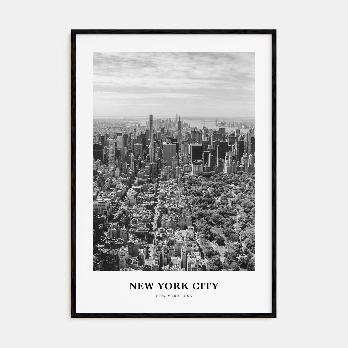 New York City Portrait B&W No 4 Poster
