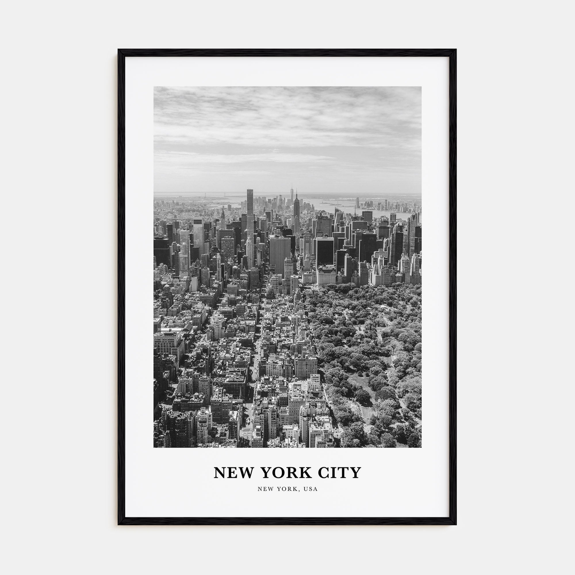 New York City Portrait B&W No 4 Poster