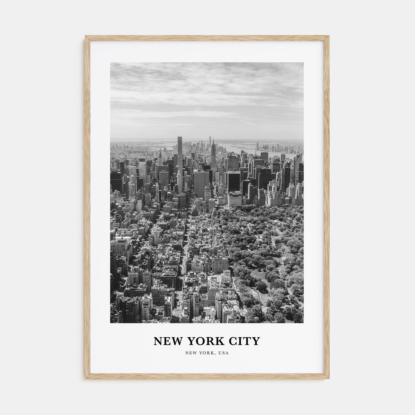 New York City Portrait B&W No 4 Poster