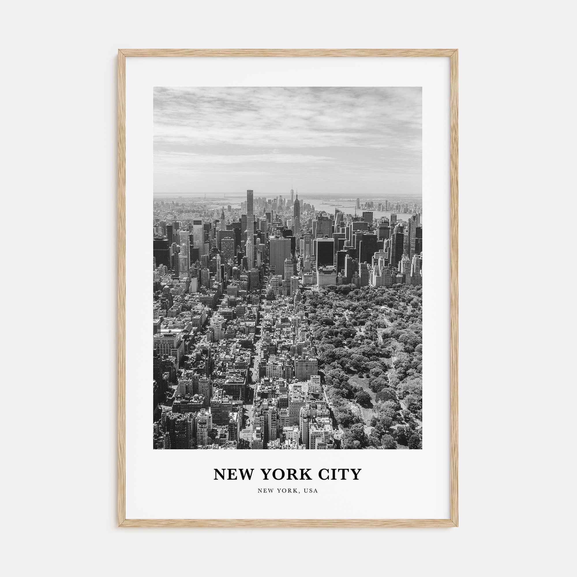 New York City Portrait B&W No 4 Poster