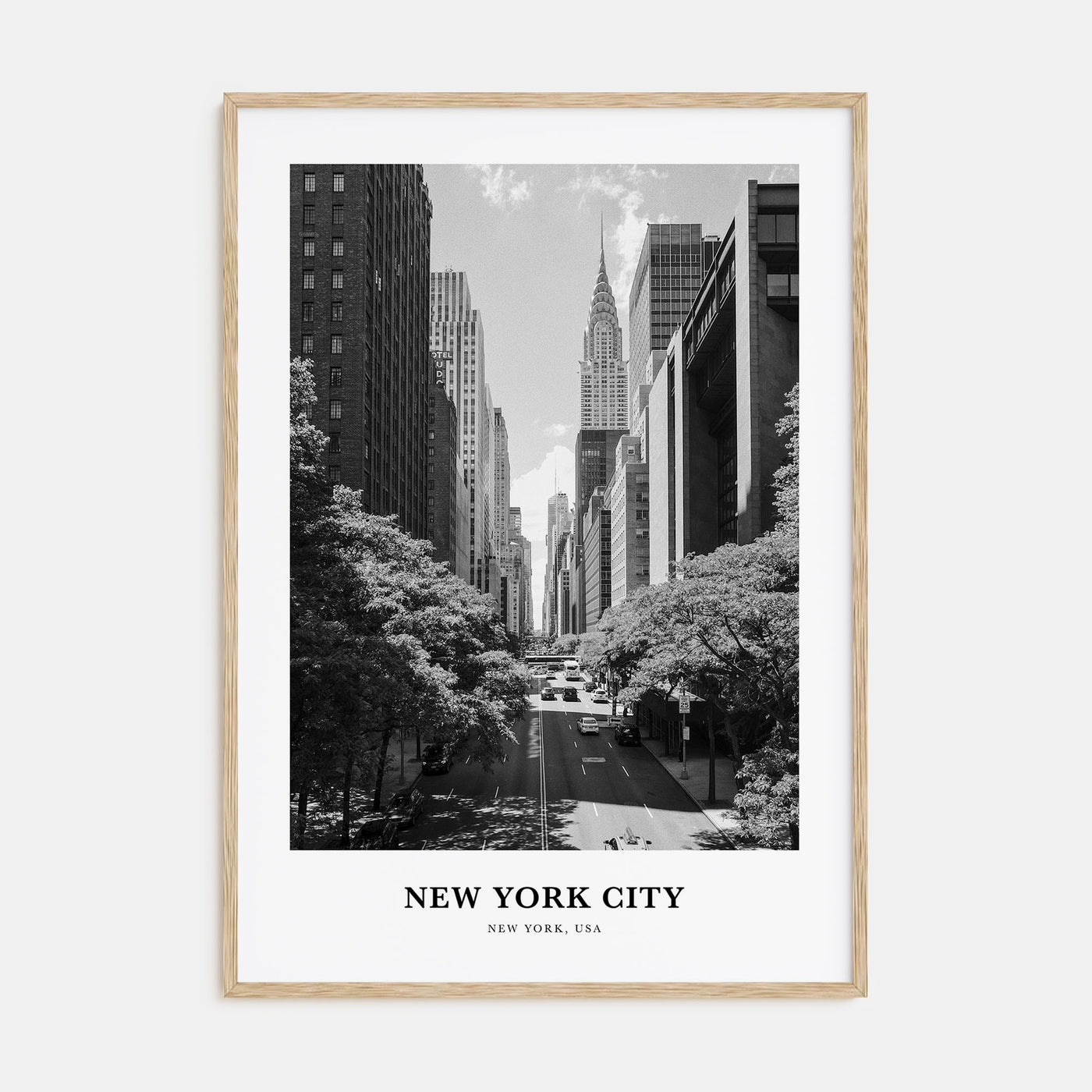 New York City Portrait B&W No 6 Poster
