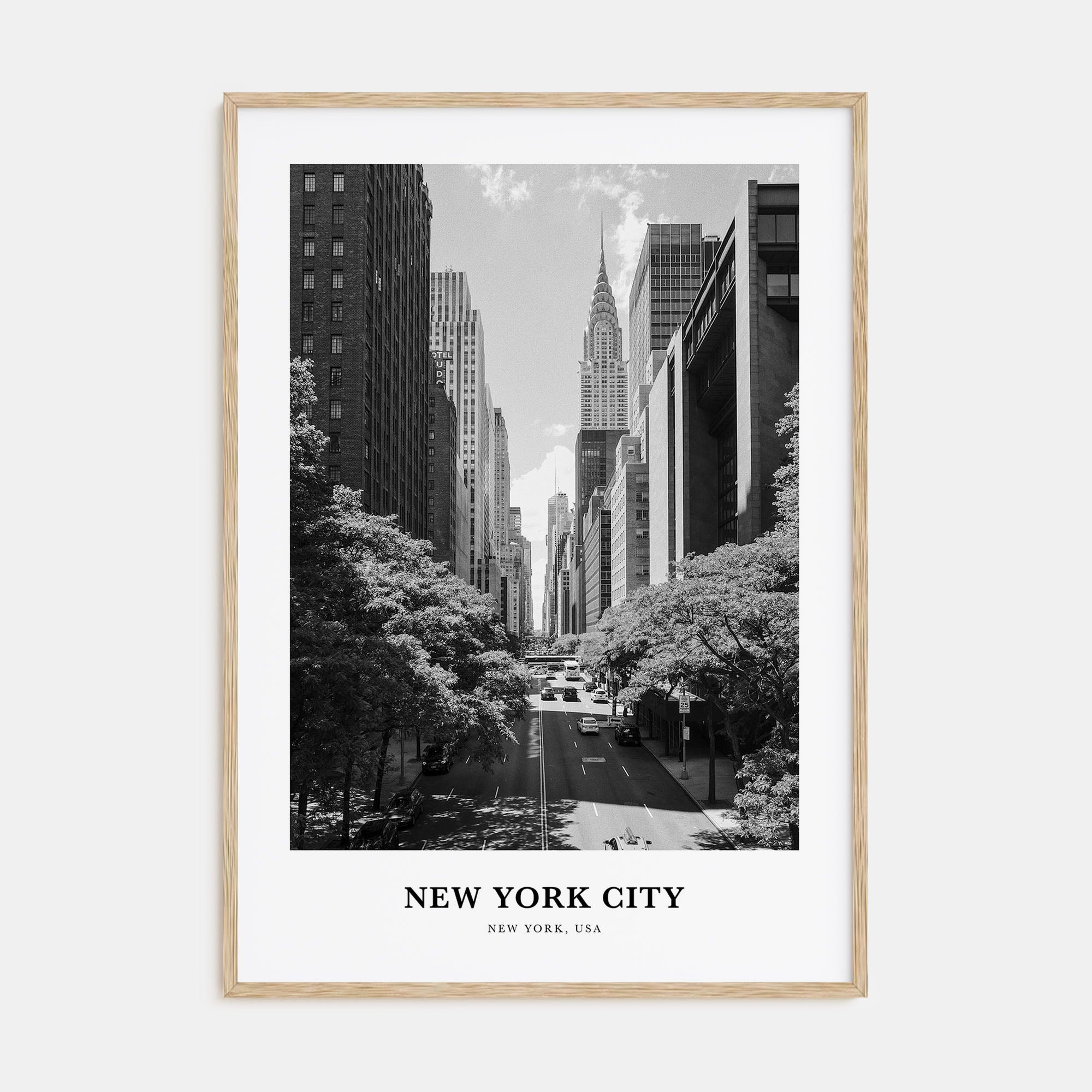New York City Portrait B&W No 6 Poster