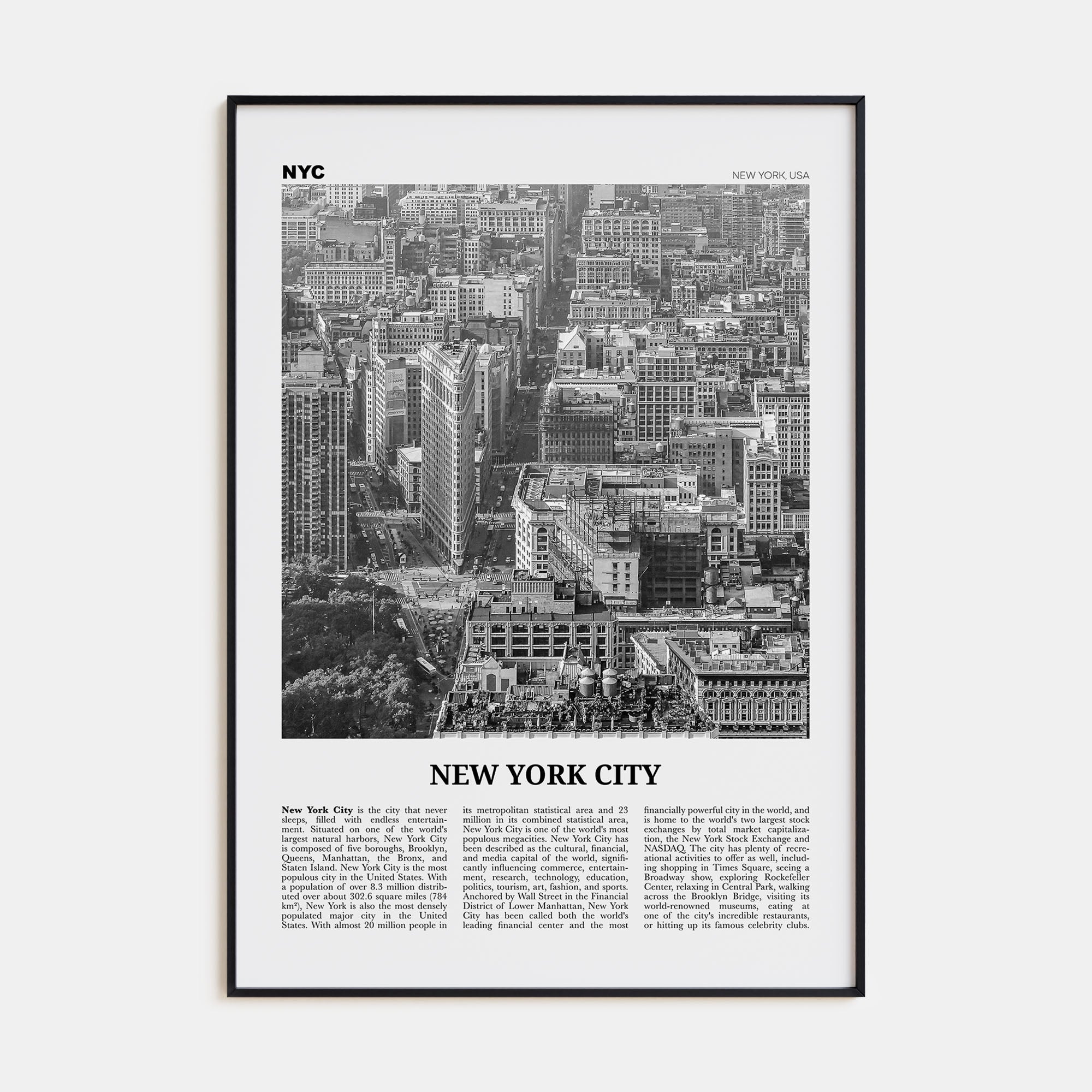 New York City Travel B&W No 6 Poster