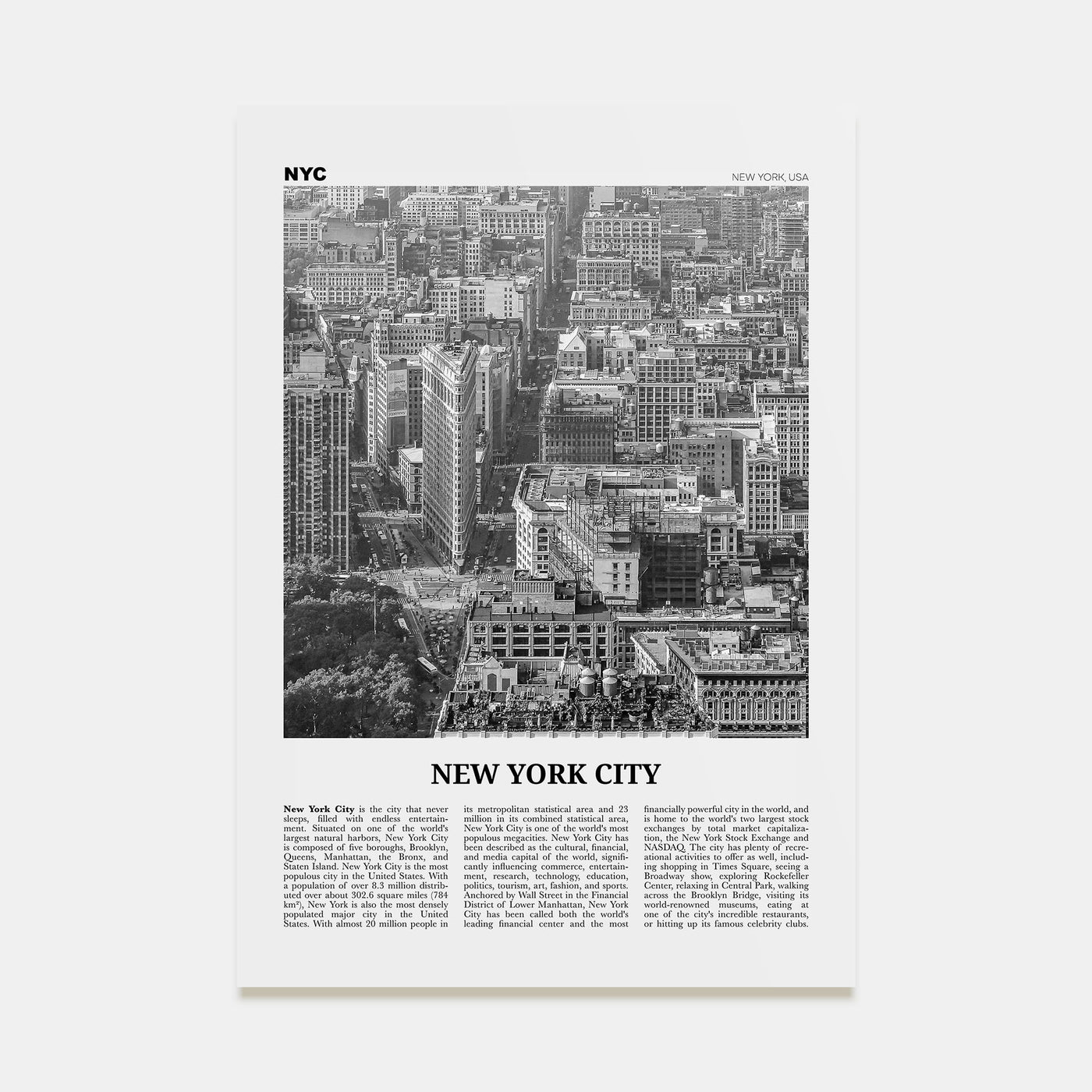 New York City Travel B&W No 6 Poster