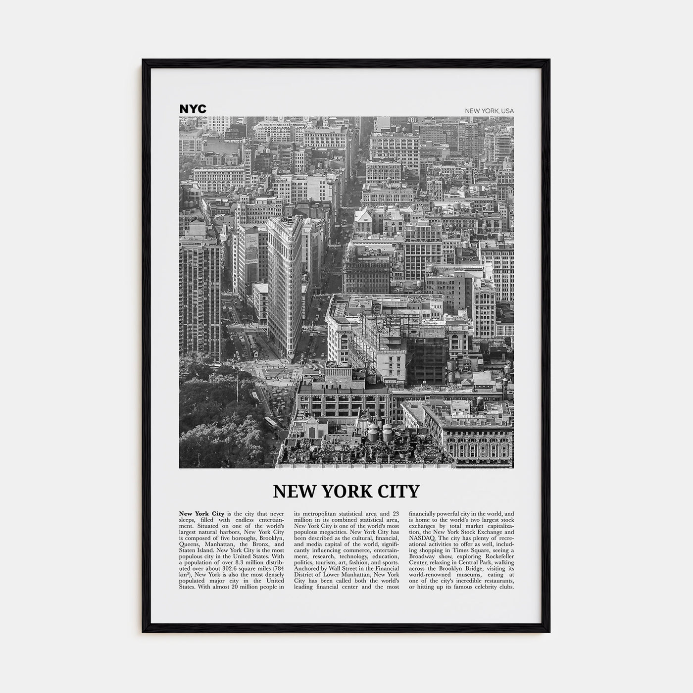 New York City Travel B&W No 6 Poster
