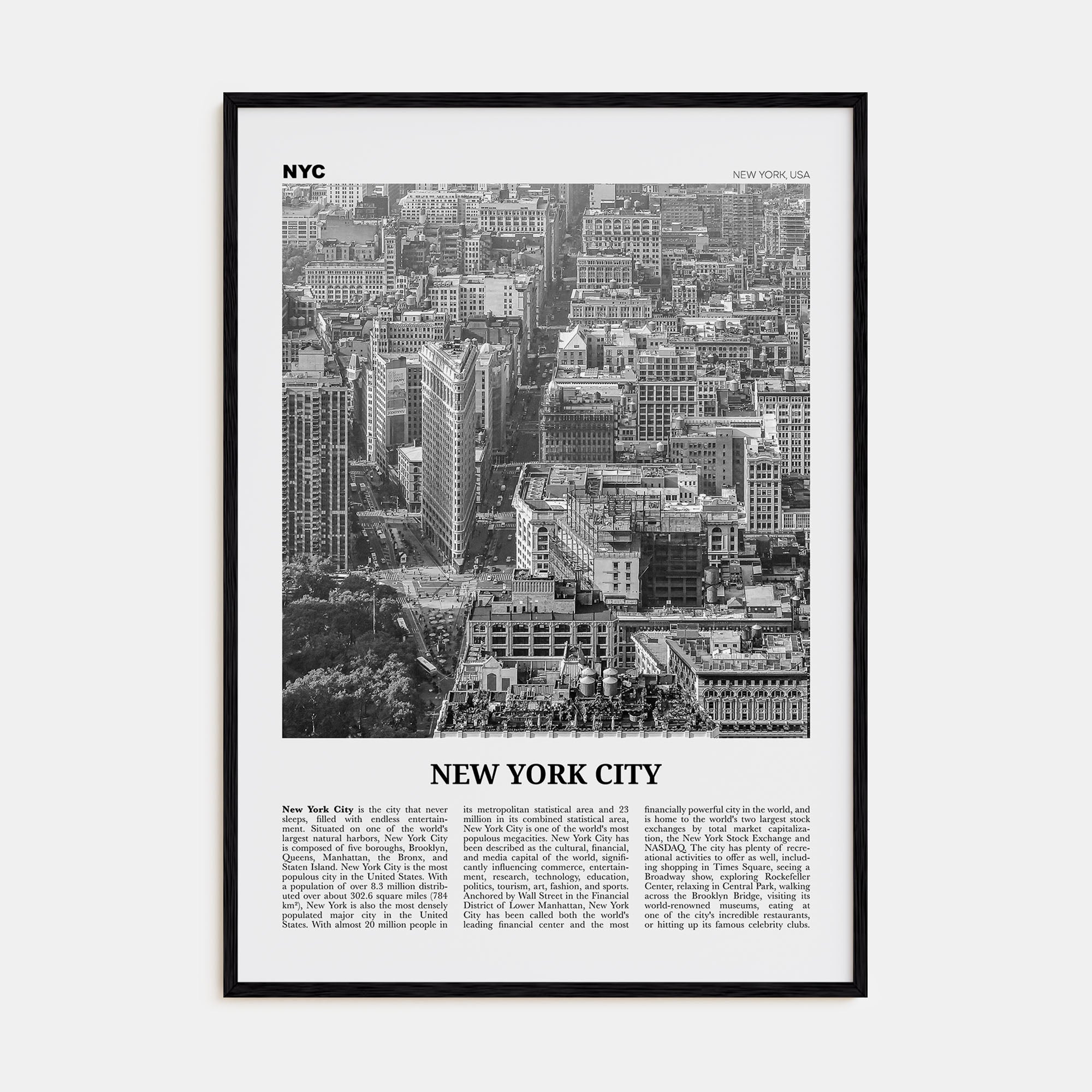 New York City Travel B&W No 6 Poster