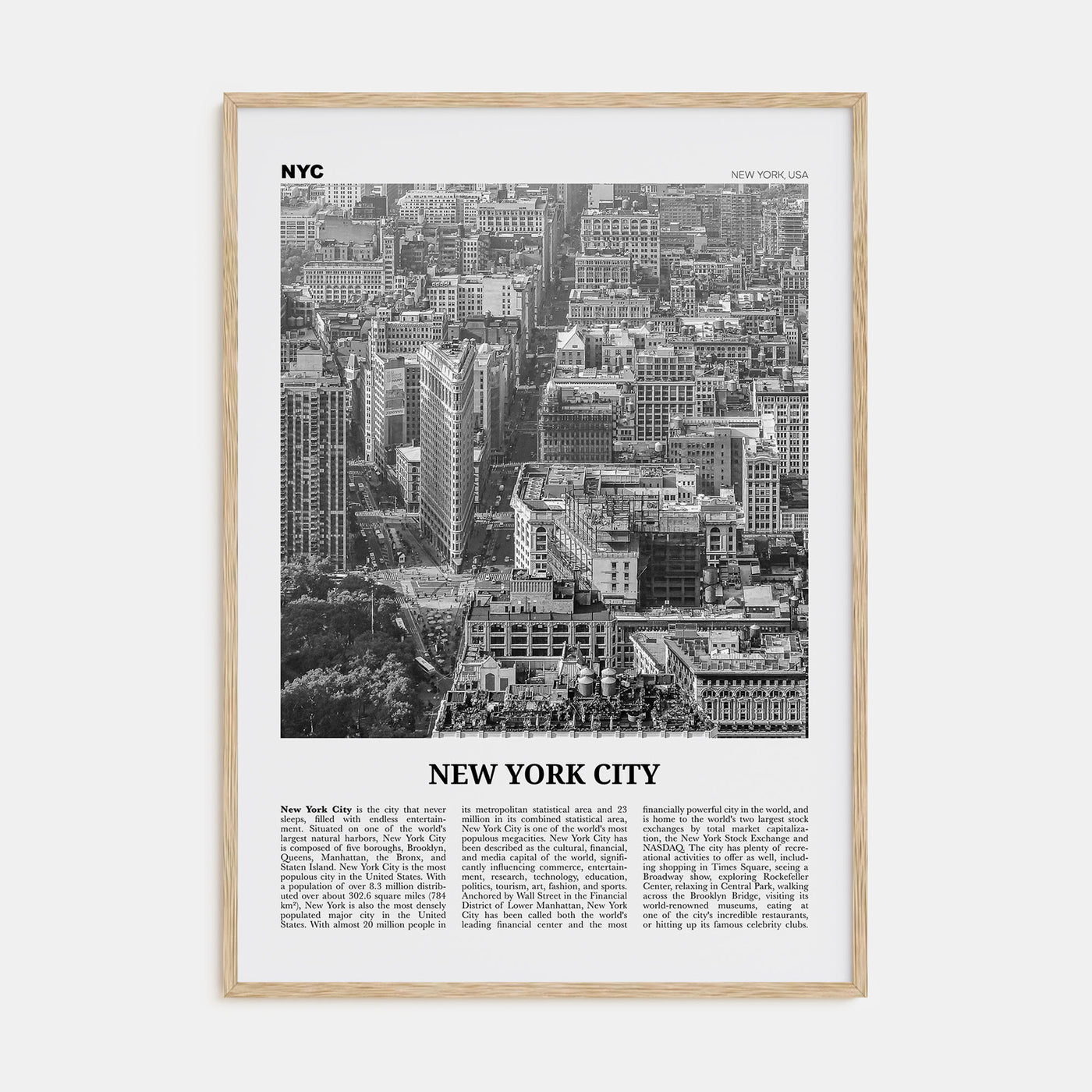 New York City Travel B&W No 6 Poster