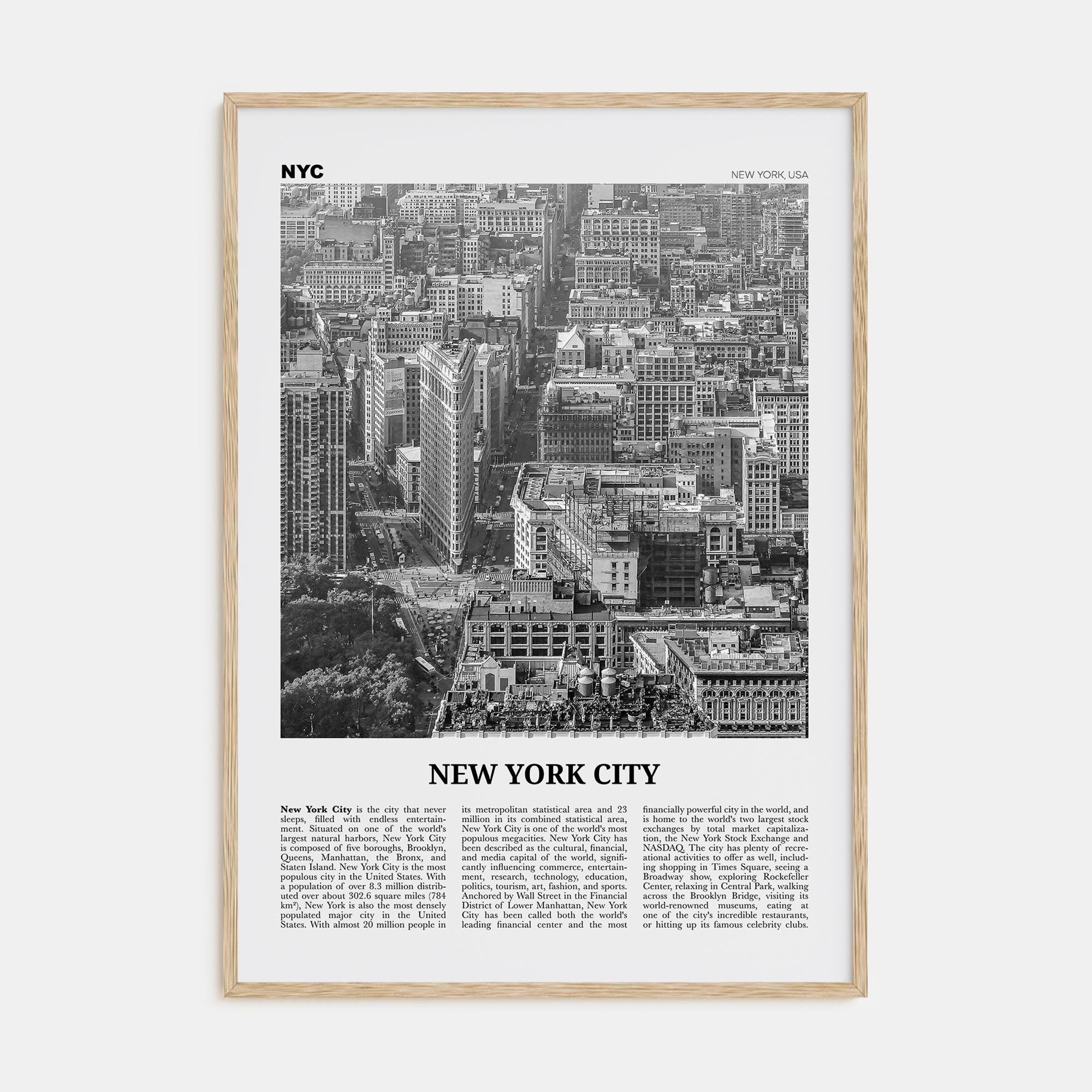 New York City Travel B&W No 6 Poster