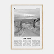 New York (State) Travel B&W No 3 Poster