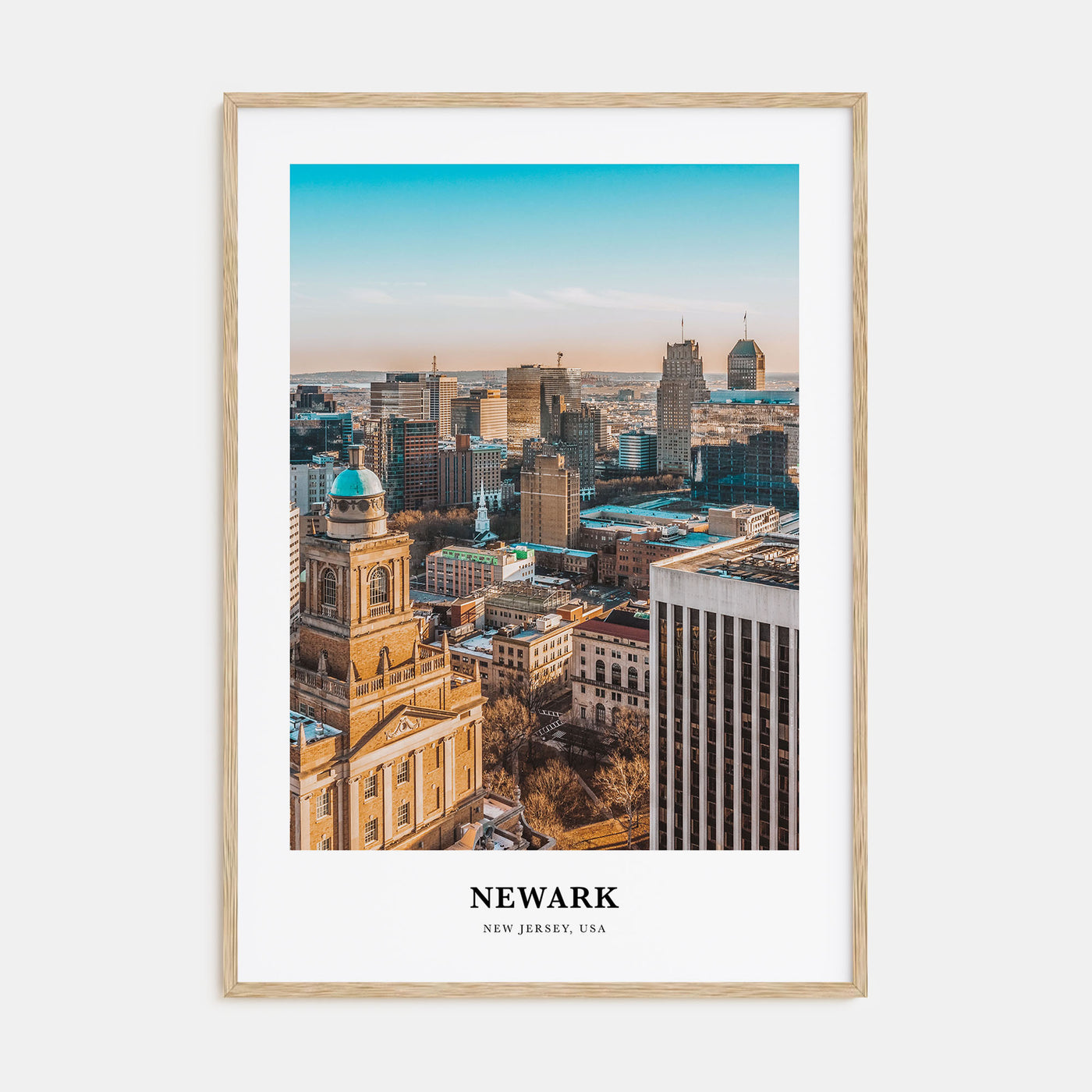 Newark Portrait Color Poster