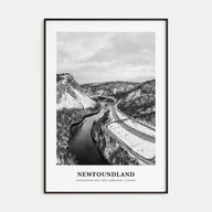 Newfoundland Portrait B&W Poster