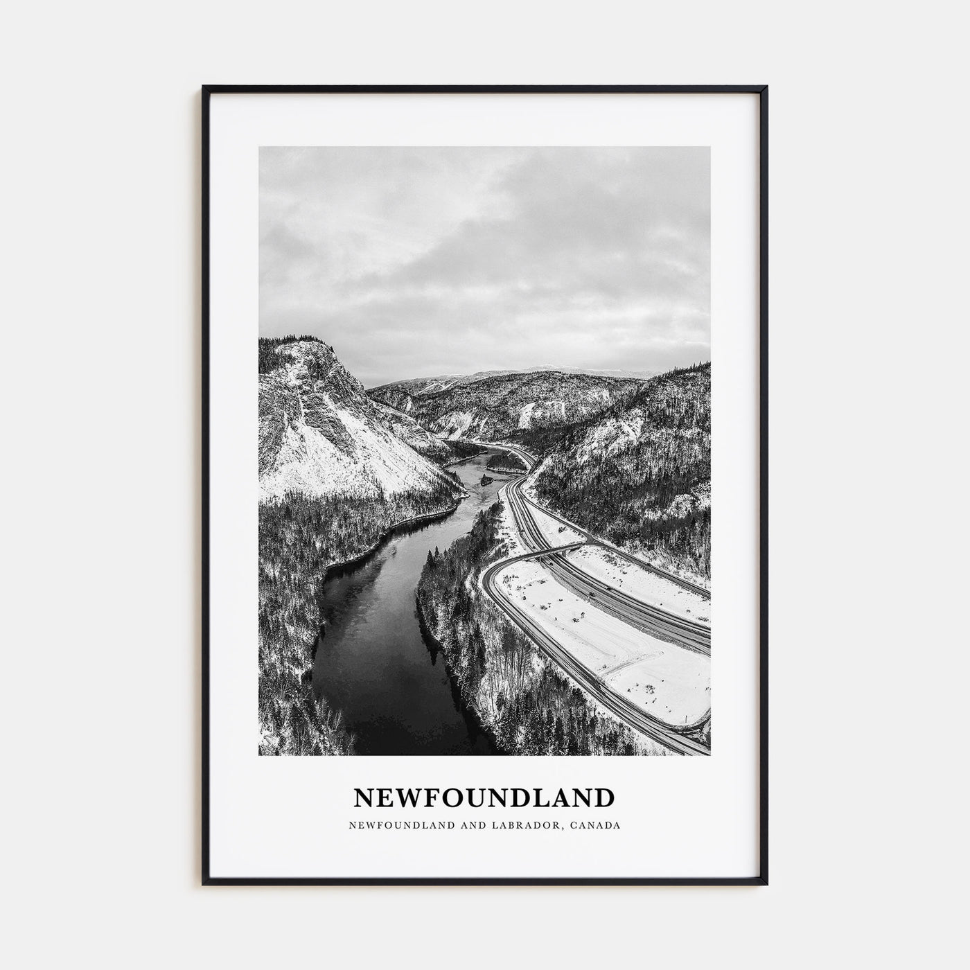 Newfoundland Portrait B&W Poster