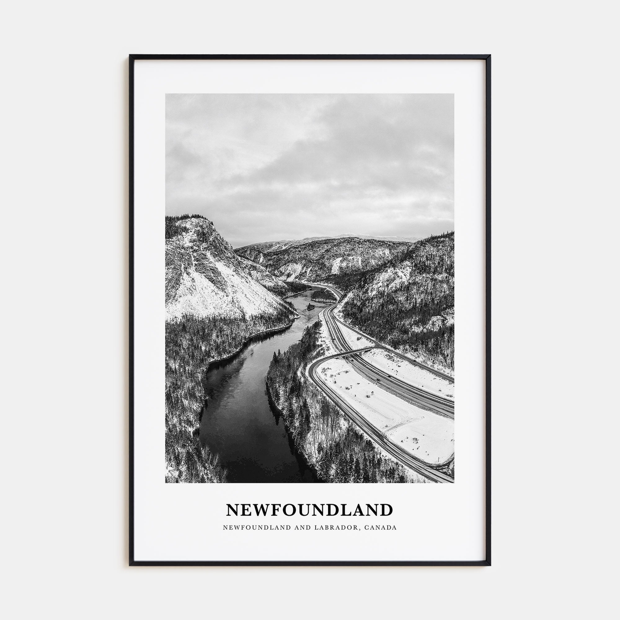 Newfoundland Portrait B&W Poster