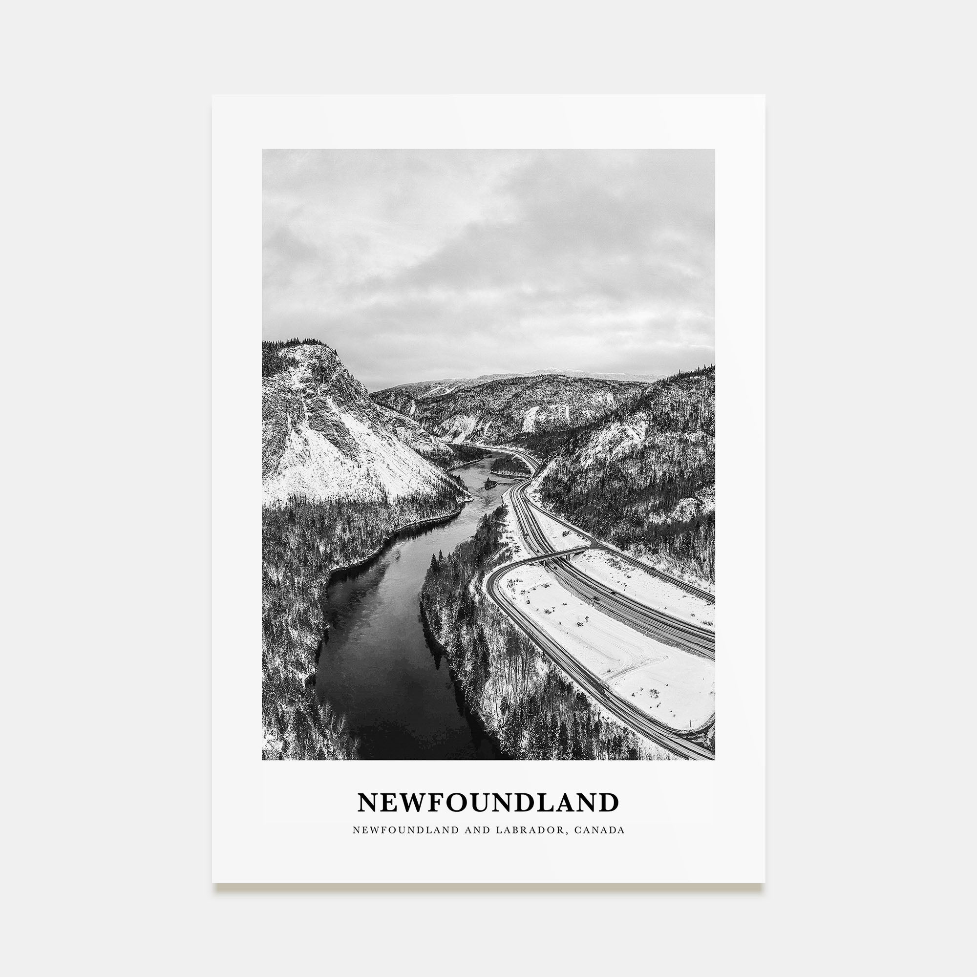 Newfoundland Portrait B&W Poster