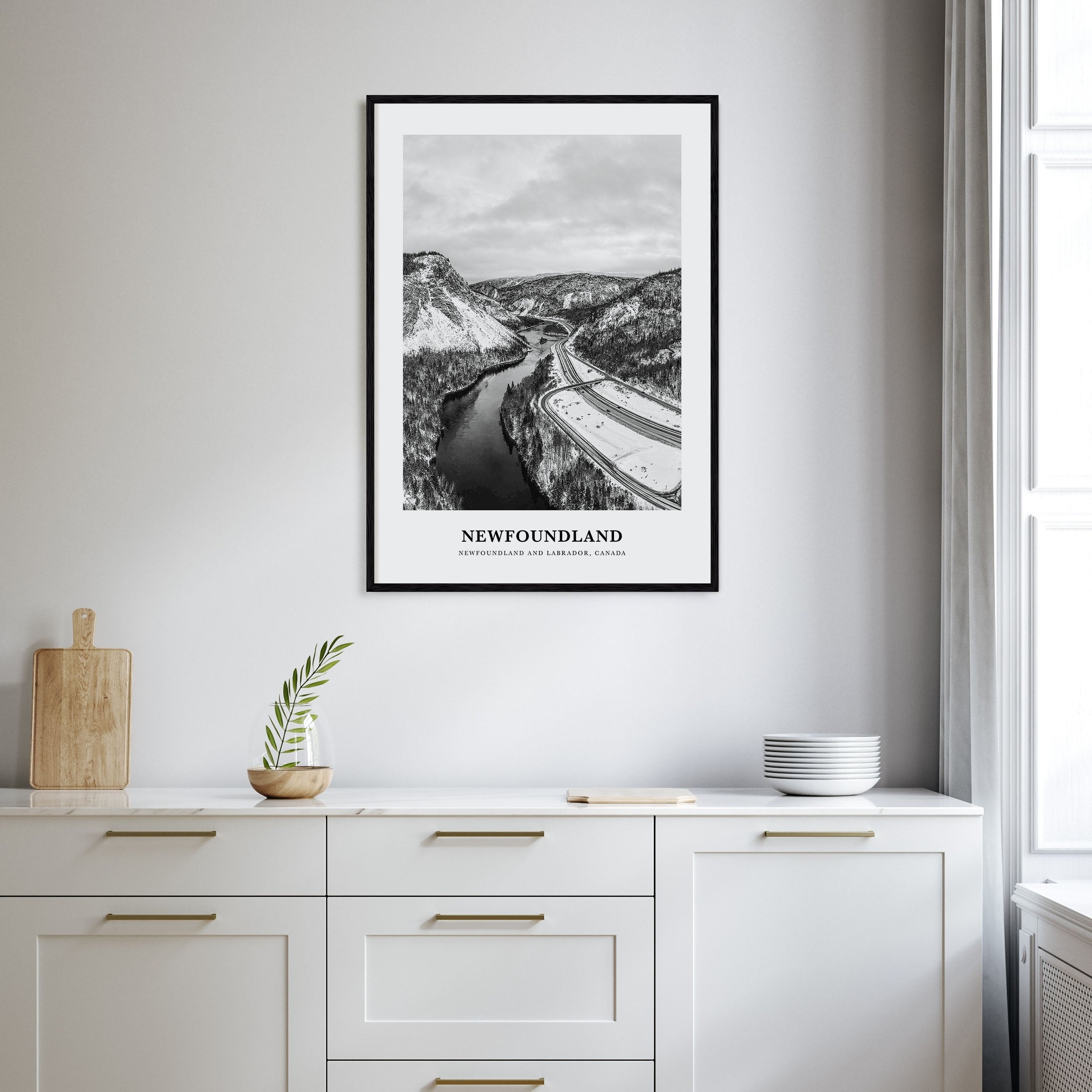 Newfoundland Portrait B&W Poster