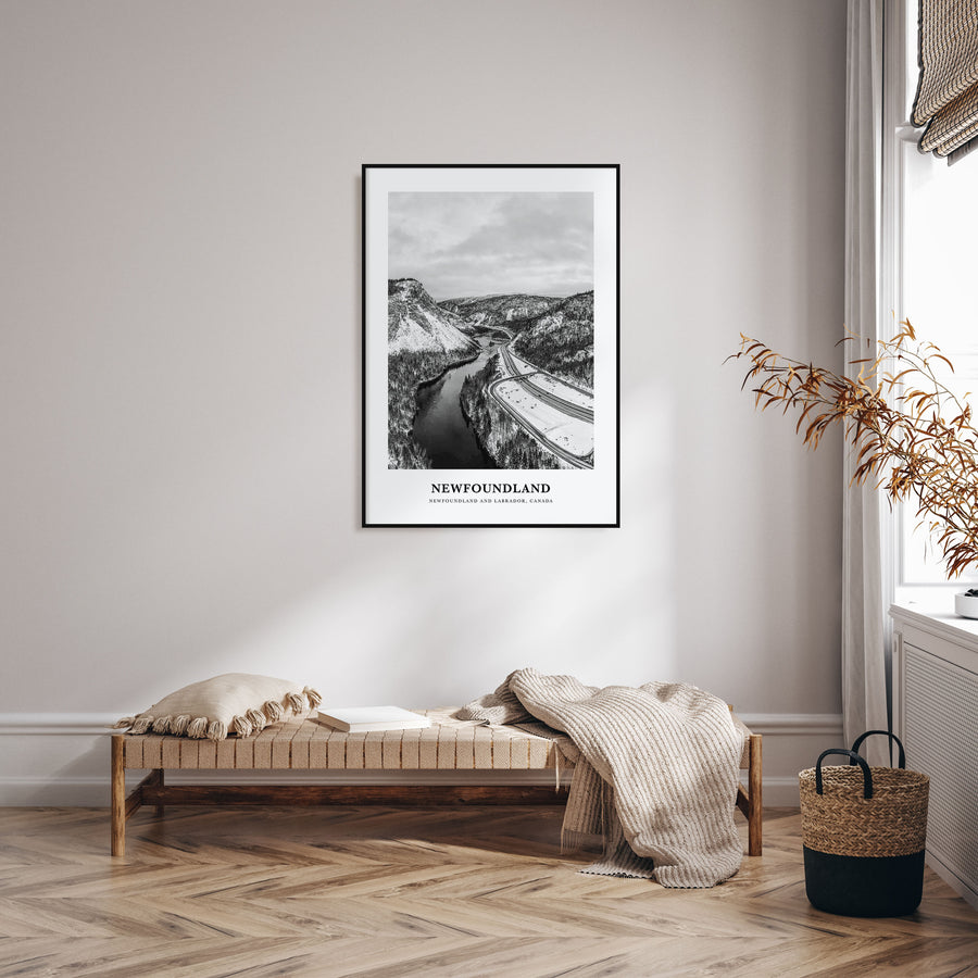 Newfoundland Portrait B&W Poster