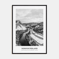 Newfoundland Portrait B&W Poster