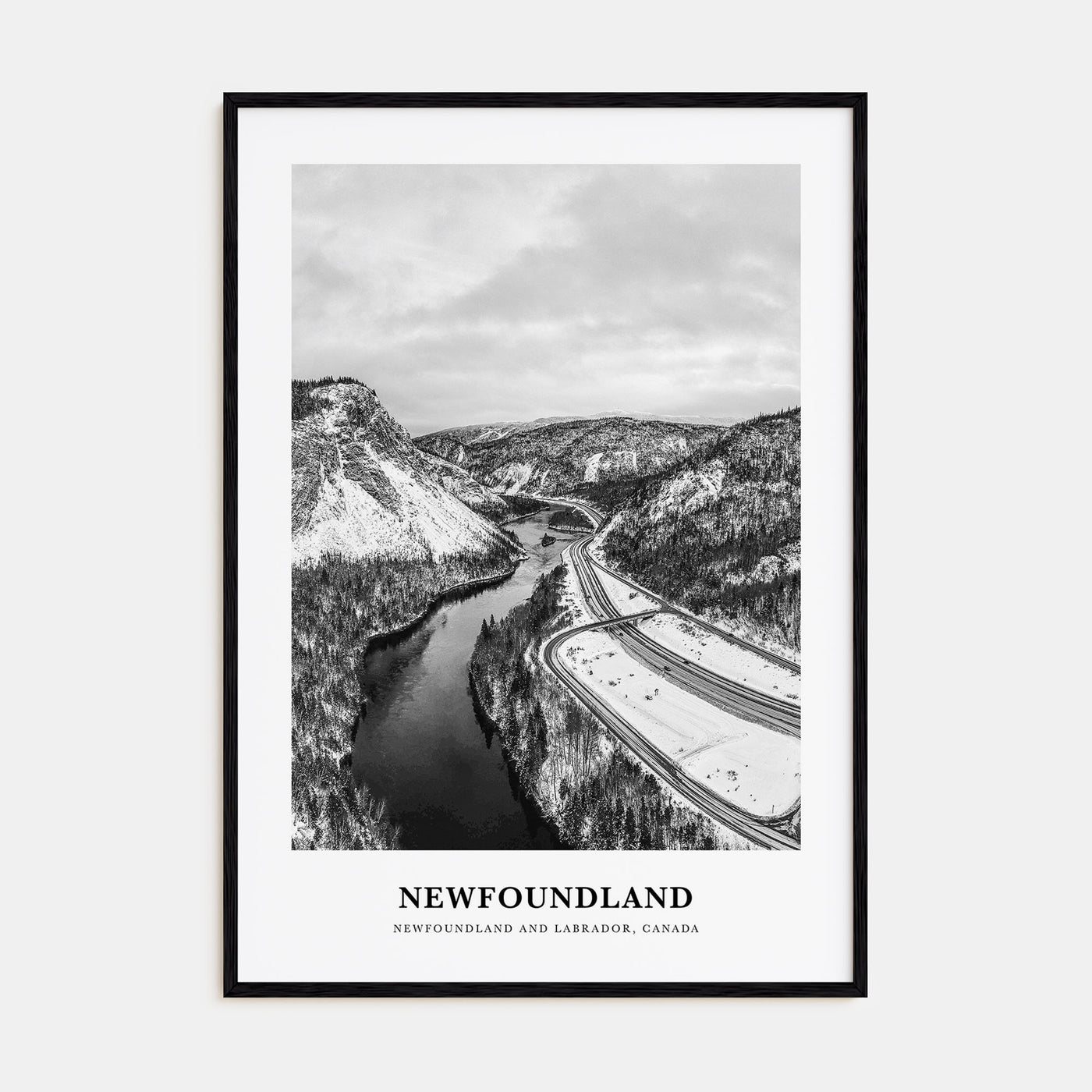 Newfoundland Portrait B&W Poster