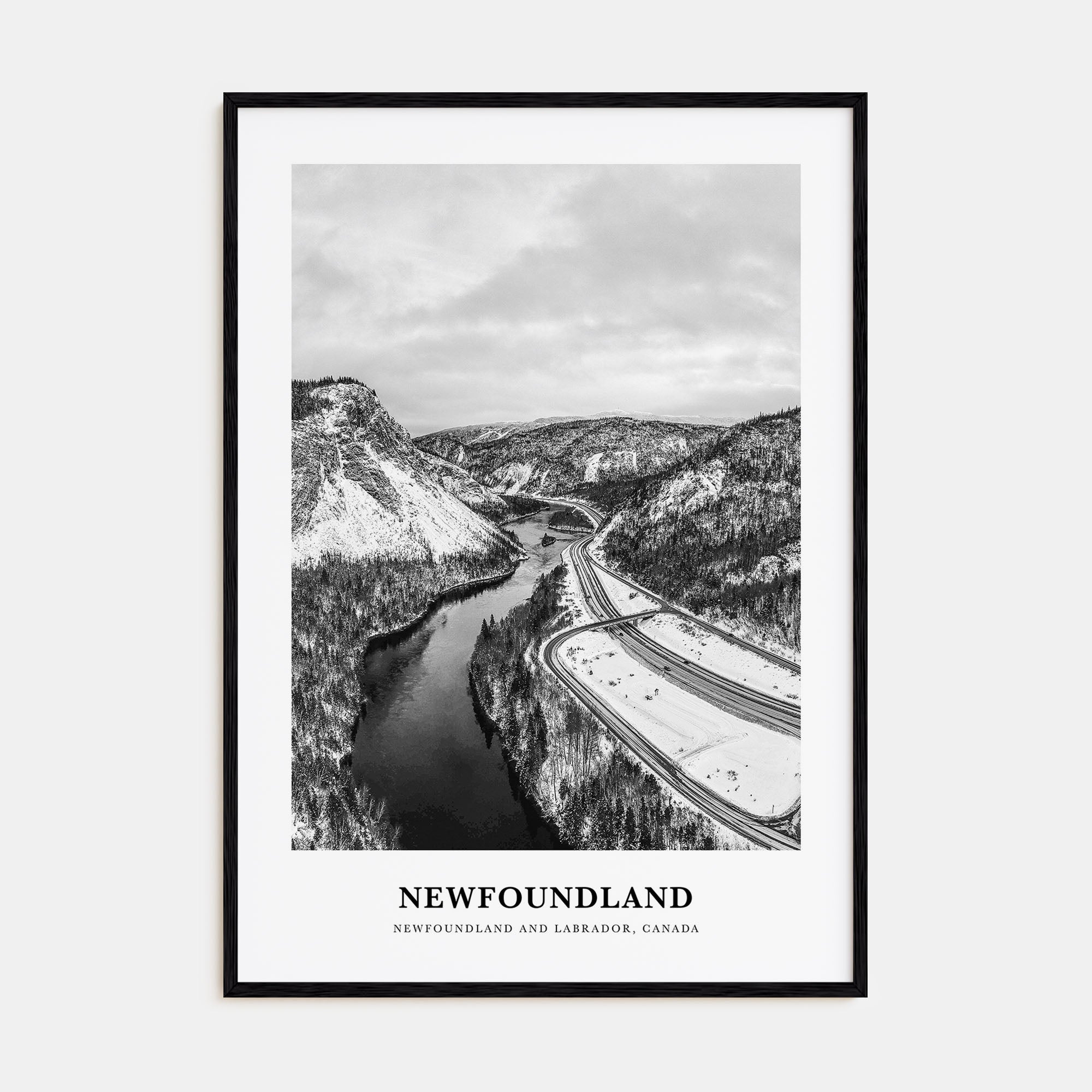 Newfoundland Portrait B&W Poster