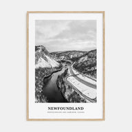 Newfoundland Portrait B&W Poster