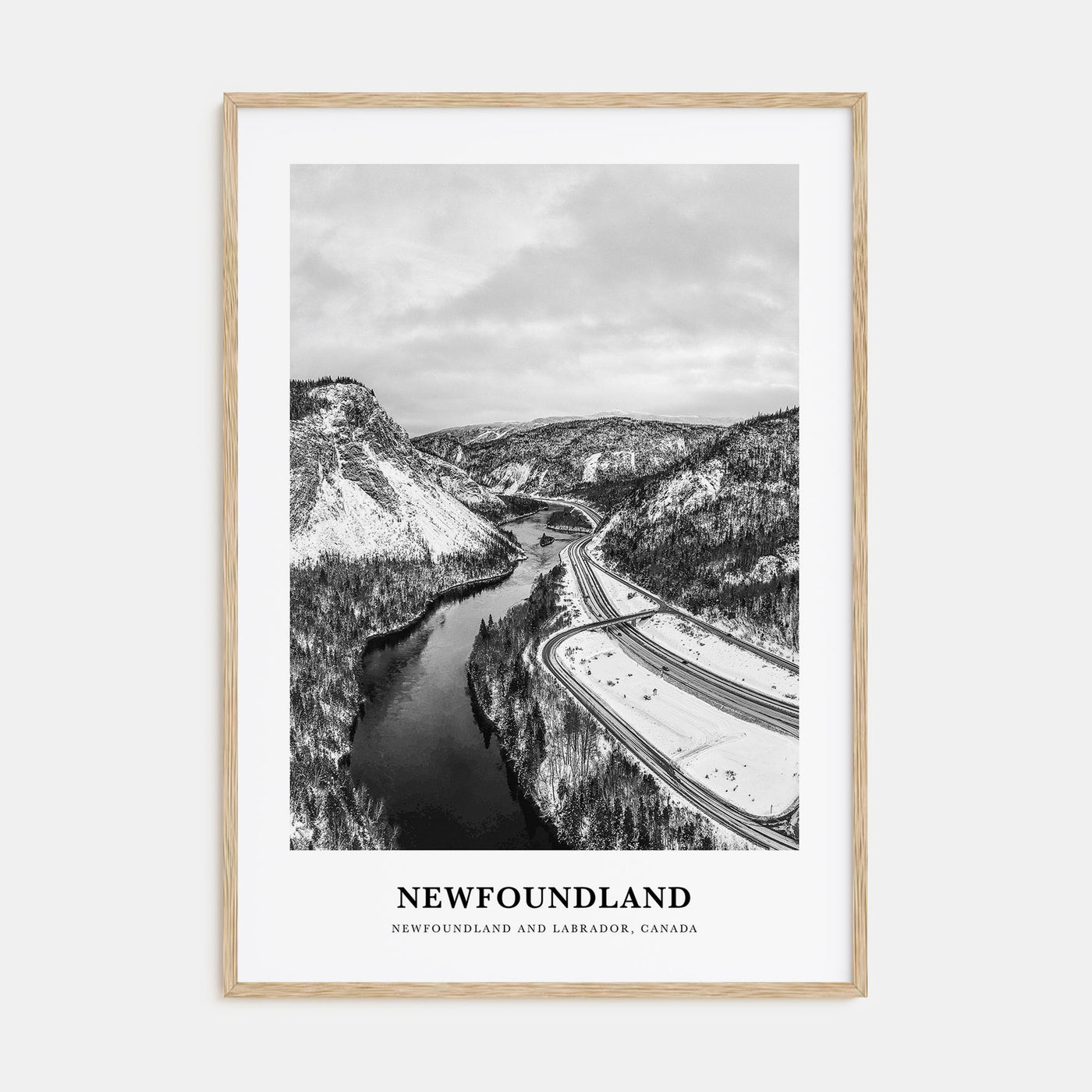 Newfoundland Portrait B&W Poster