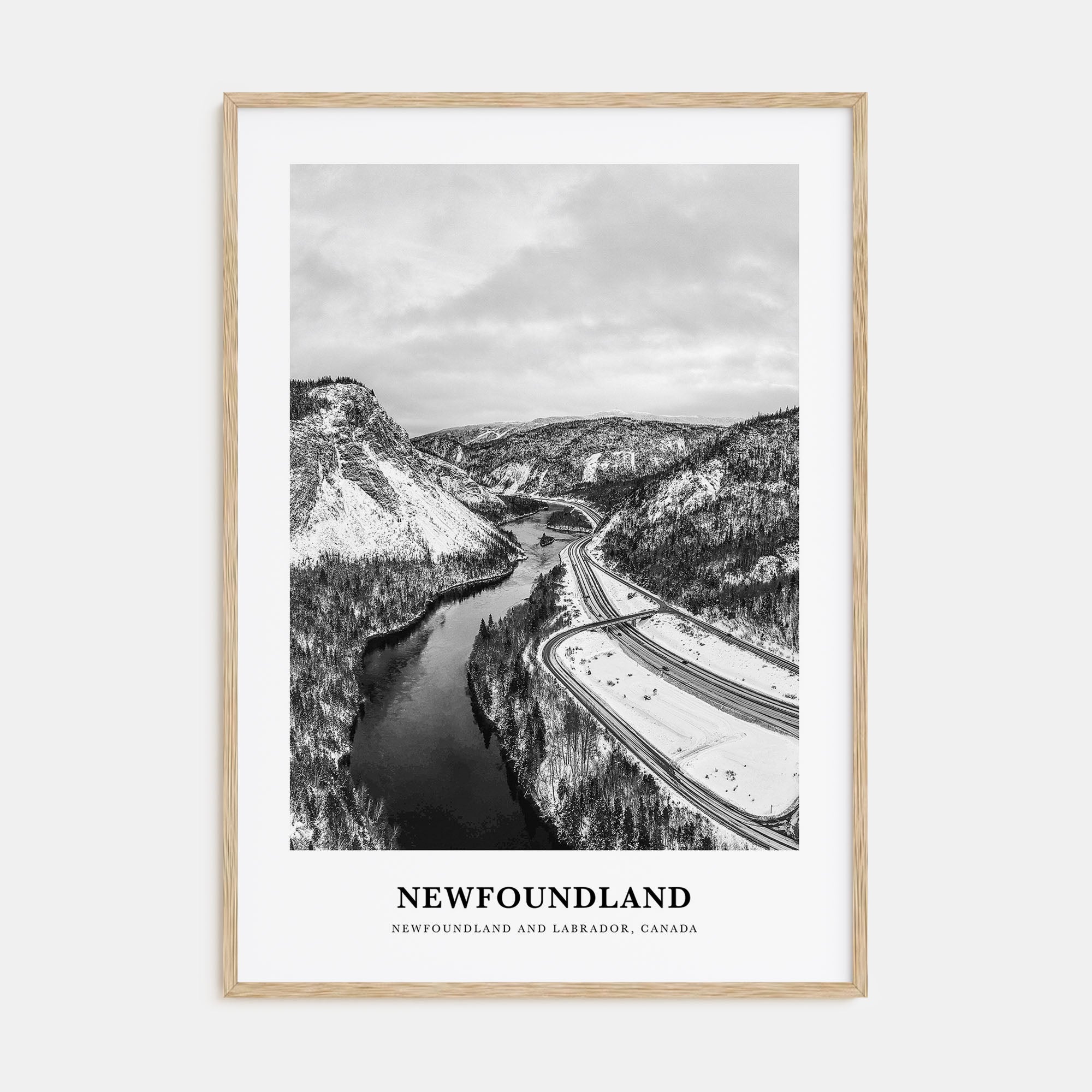 Newfoundland Portrait B&W Poster