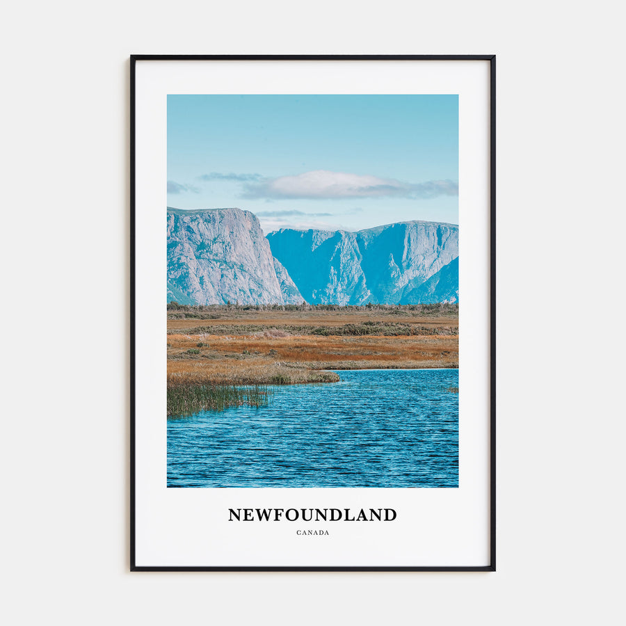 Newfoundland Portrait Color Poster