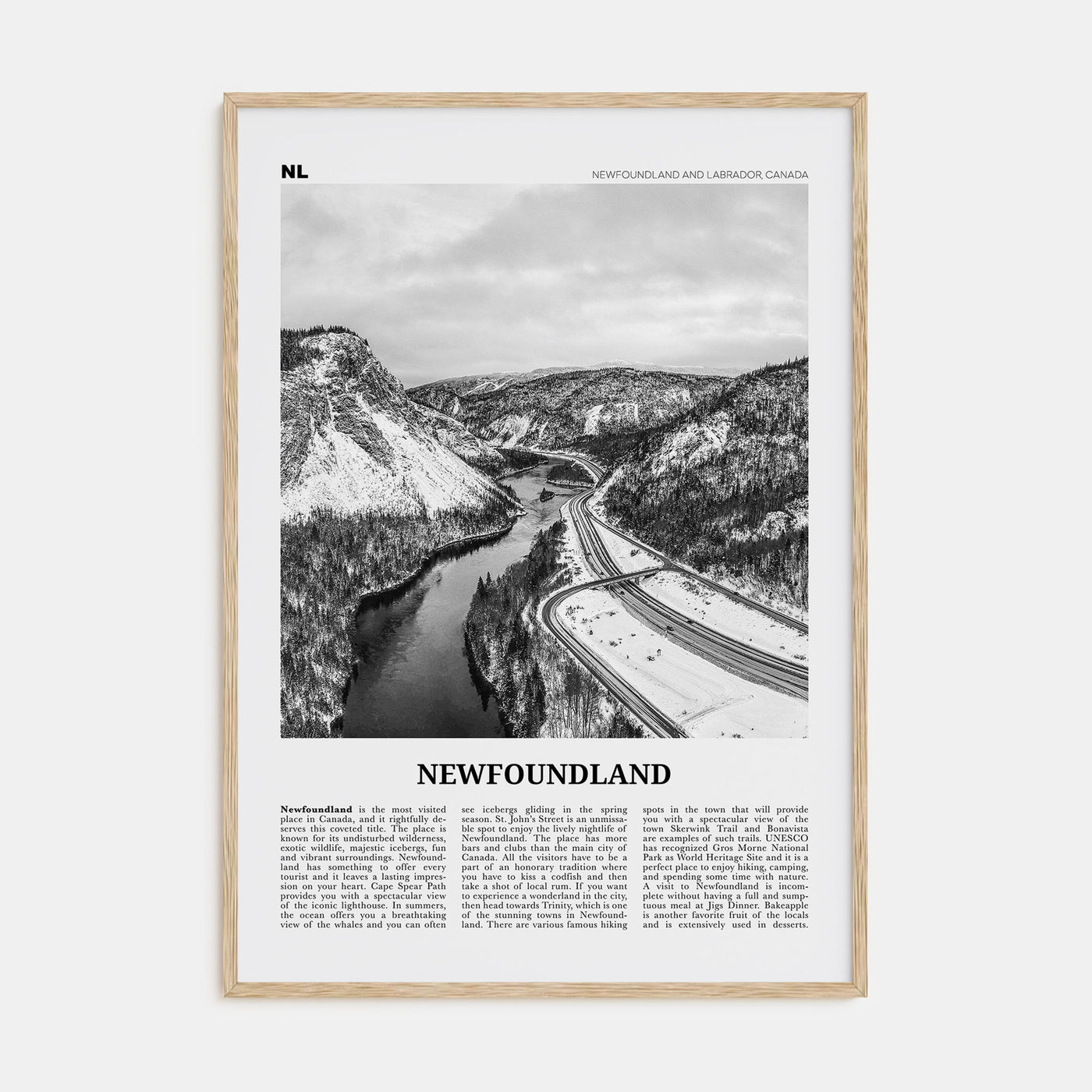 Newfoundland Travel B&W Poster