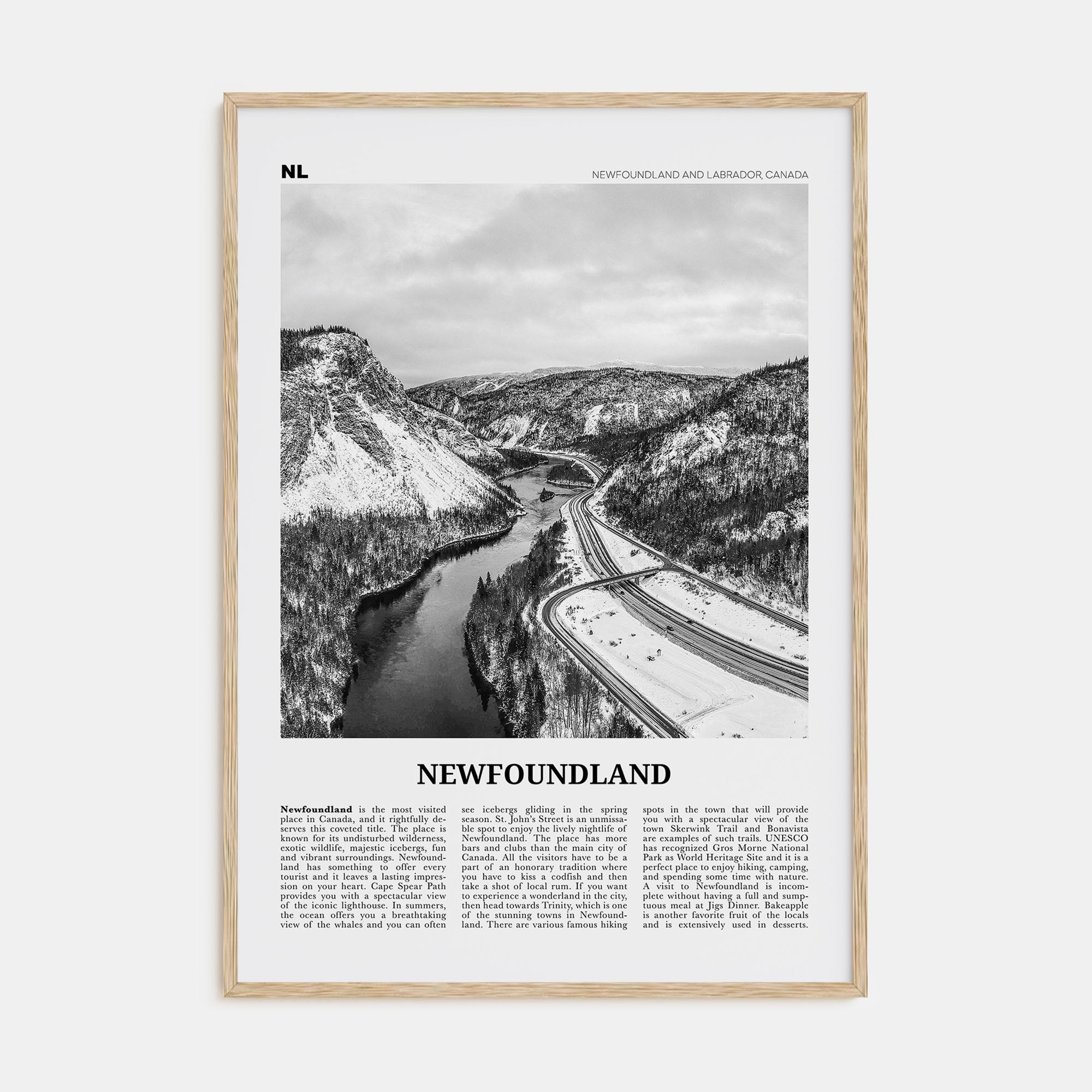 Newfoundland Travel B&W Poster