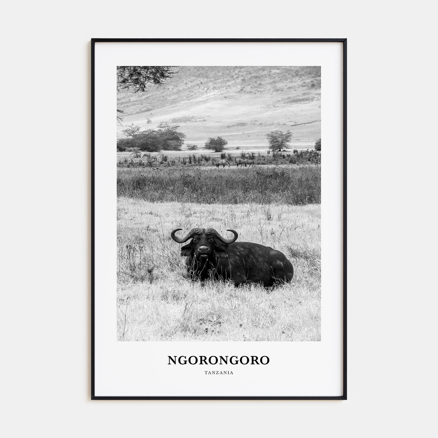 Ngorongoro Portrait B&W Poster