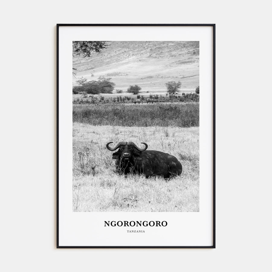 Ngorongoro Portrait B&W Poster