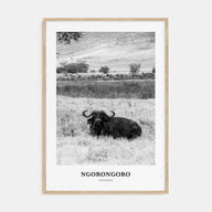 Ngorongoro Portrait B&W Poster