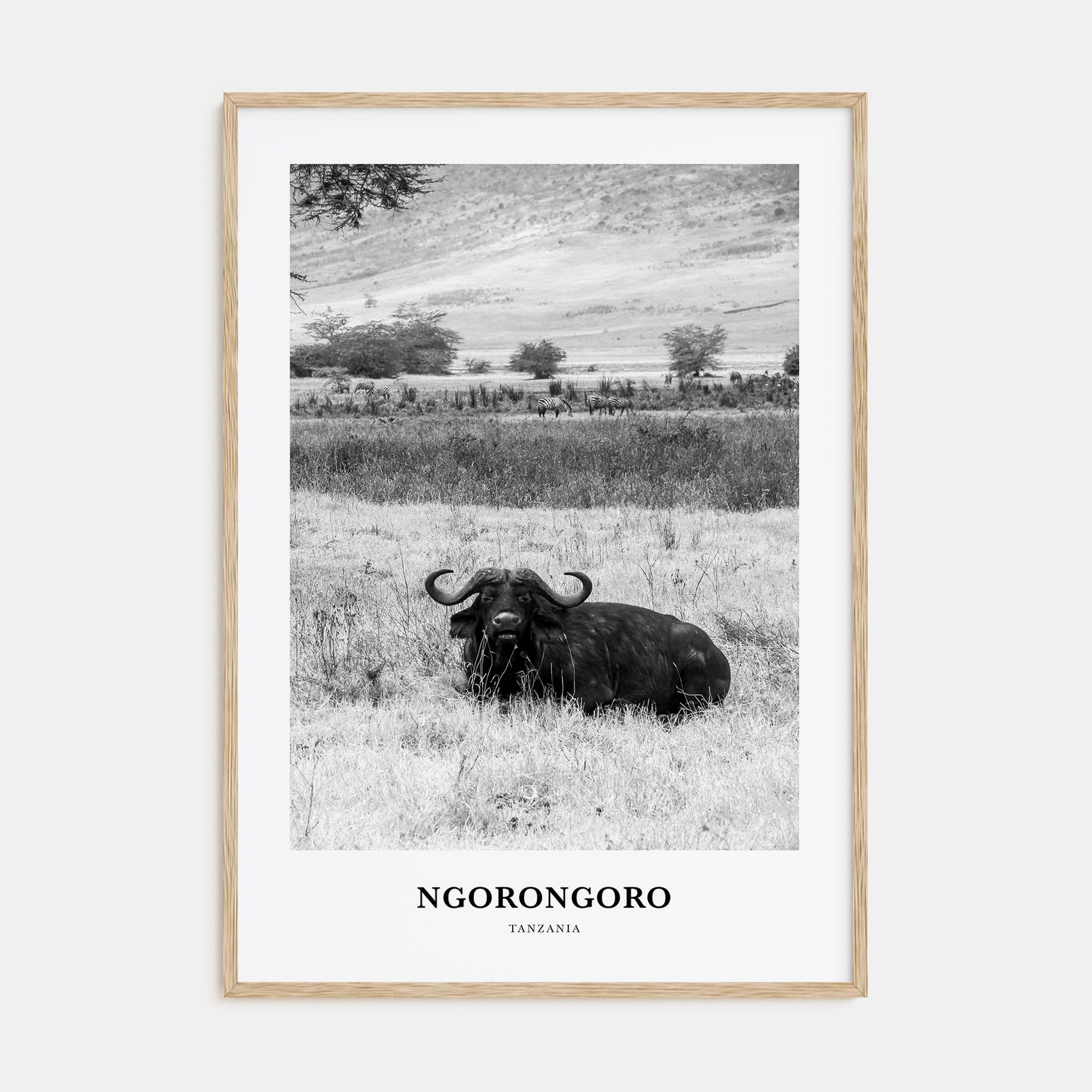 Ngorongoro Portrait B&W Poster