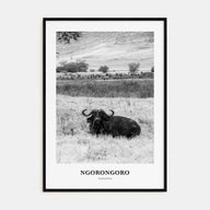 Ngorongoro Portrait B&W Poster