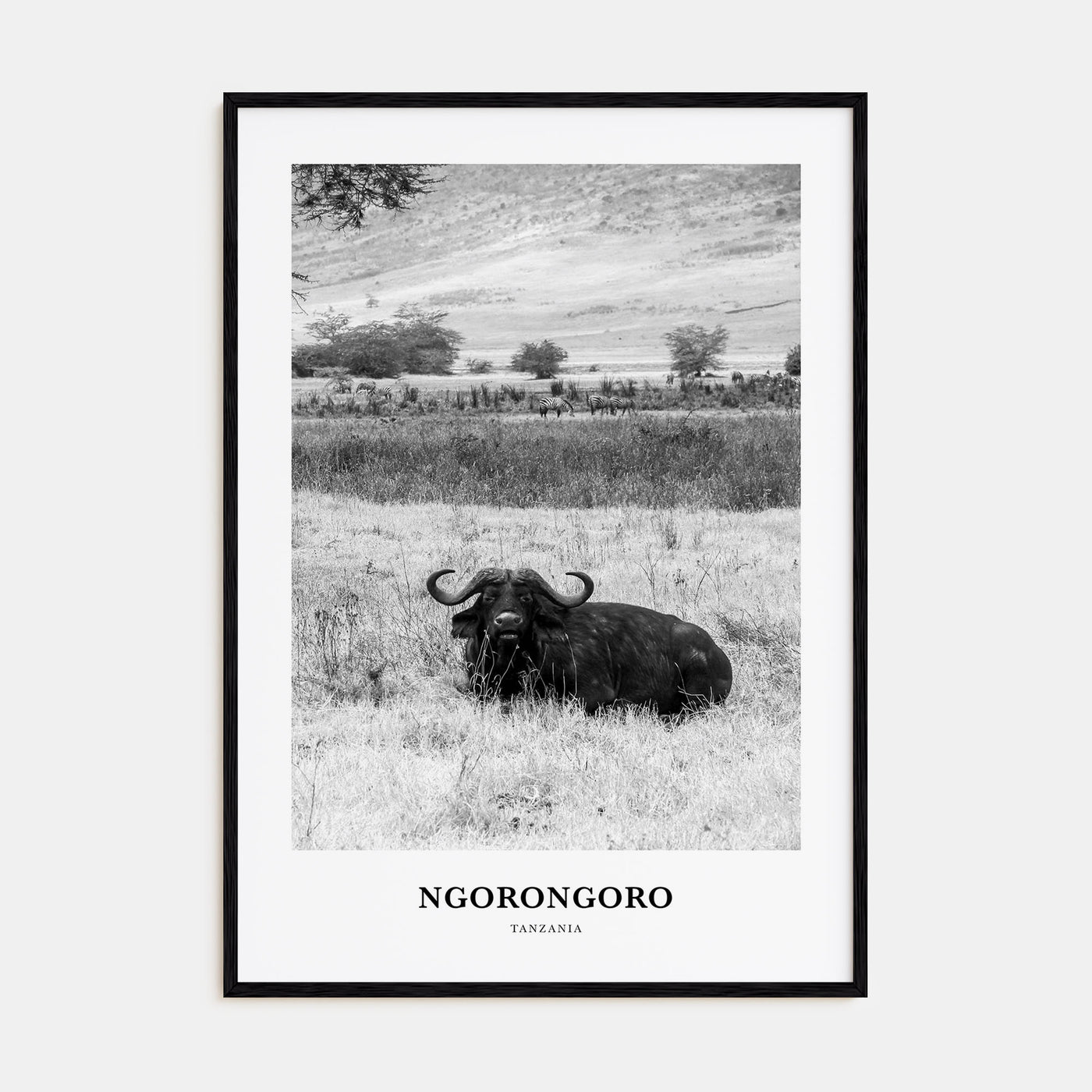 Ngorongoro Portrait B&W Poster