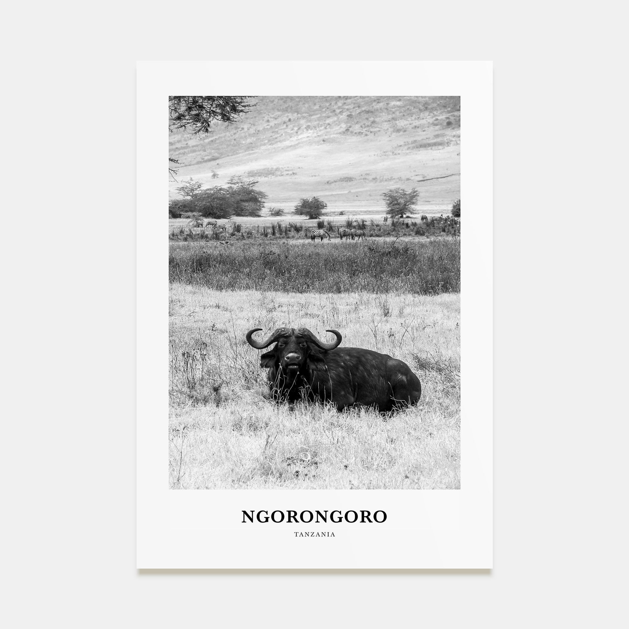 Ngorongoro Portrait B&W Poster