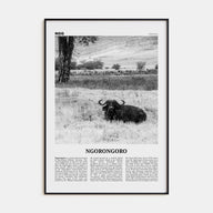 Ngorongoro Travel B&W Poster