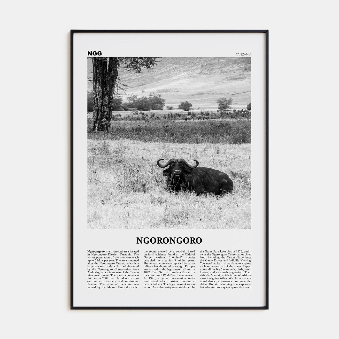 Ngorongoro Travel B&W Poster